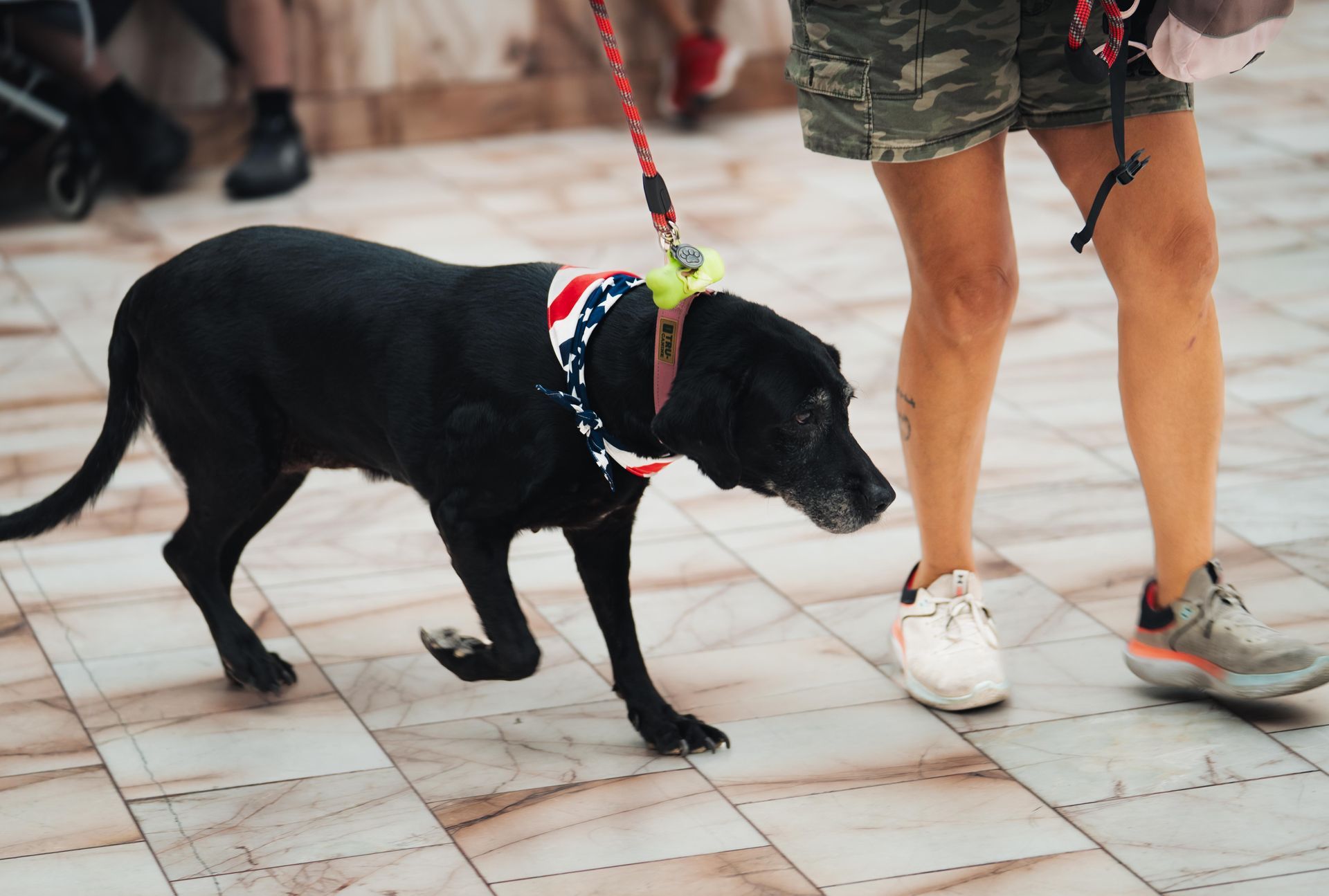 Black dog on a leash walking beside a person’s legs on a tiled sidewalk