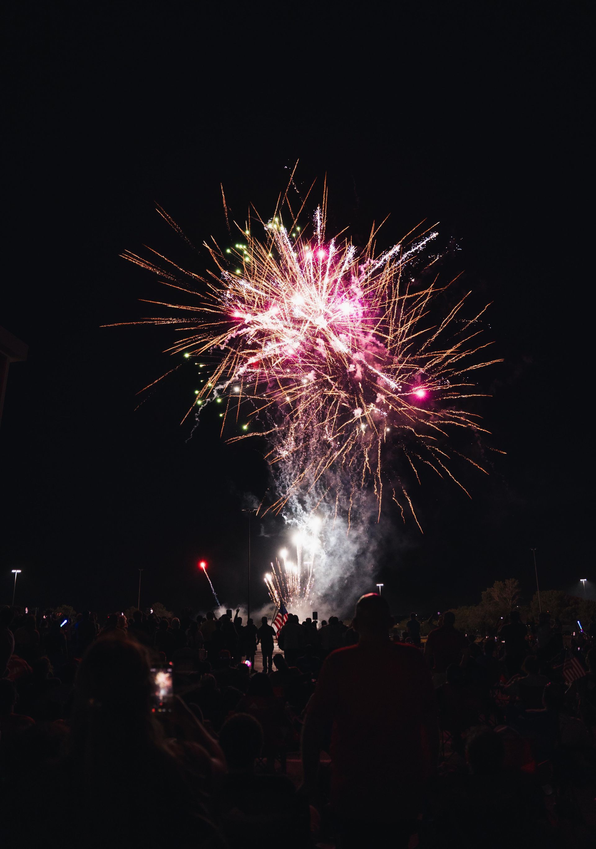 Fireworks exploding in pink and gold over a crowd at night