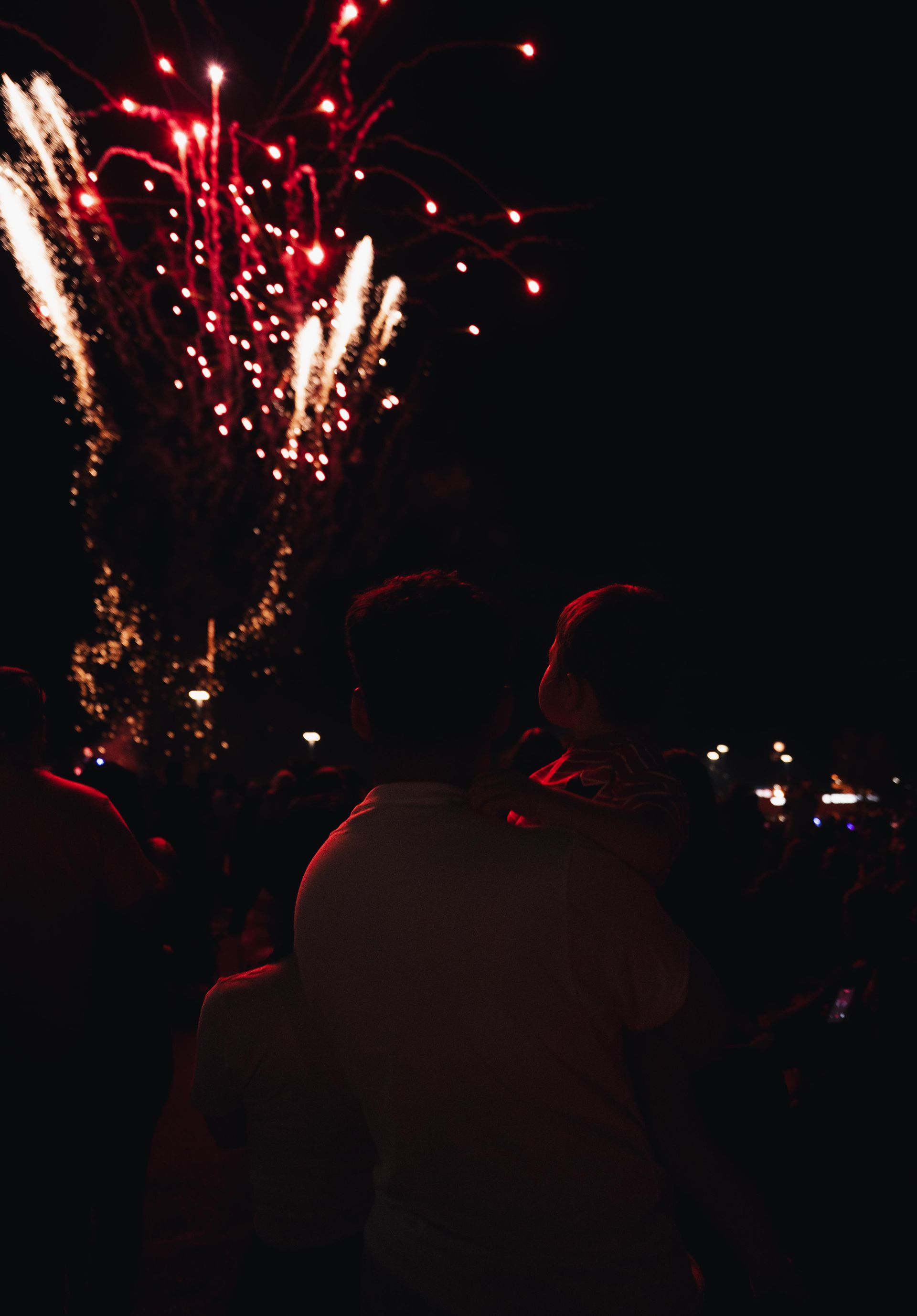 Fireworks exploding in the night sky above silhouetted spectators