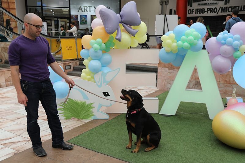 Man standing beside a sitting dog at a balloon-decorated event display with large letters on grass