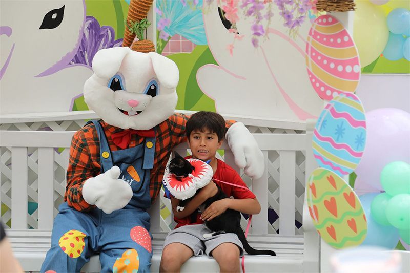 Child sitting with a large white bunny mascot on a decorated bench, holding a heart pillow