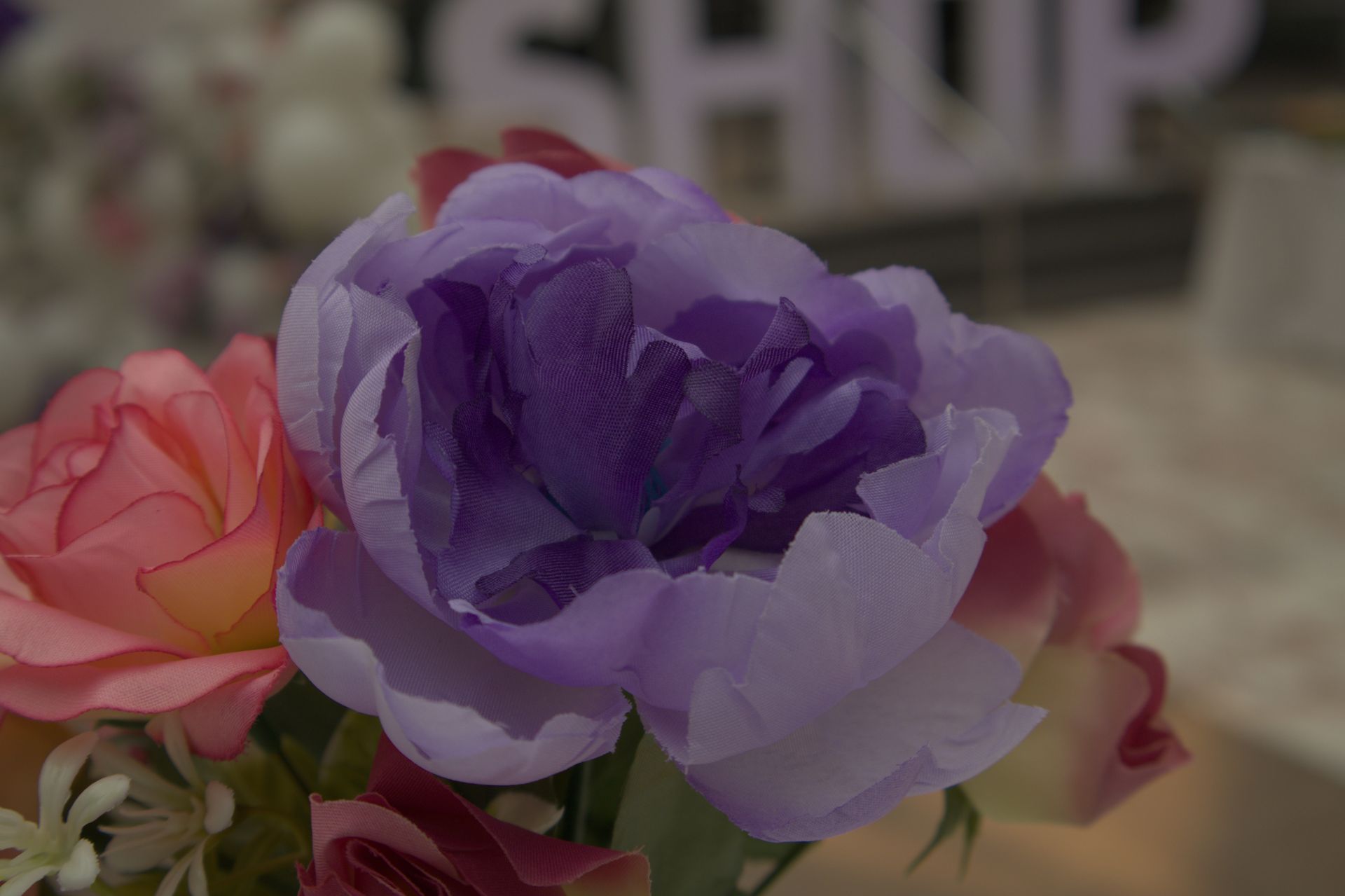 Pink and purple flowers in soft focus, with a blurred sign in the background