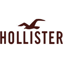 A logo for hollister with a bird on it