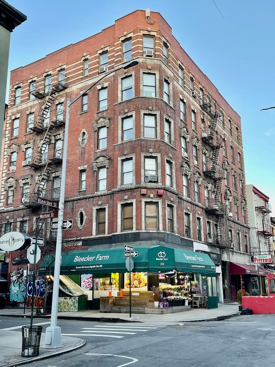 Building photo of 272 Bleecker Street