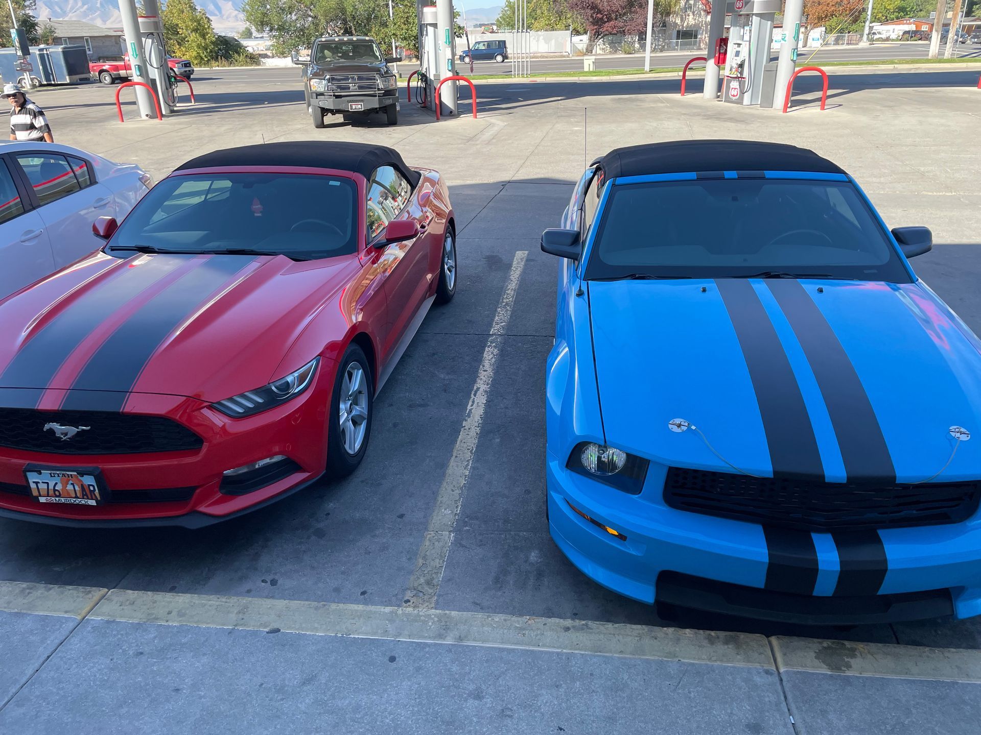 Two mustangs are parked next to each other in a parking lot Two mustangs are parked next to each other in a parking lot