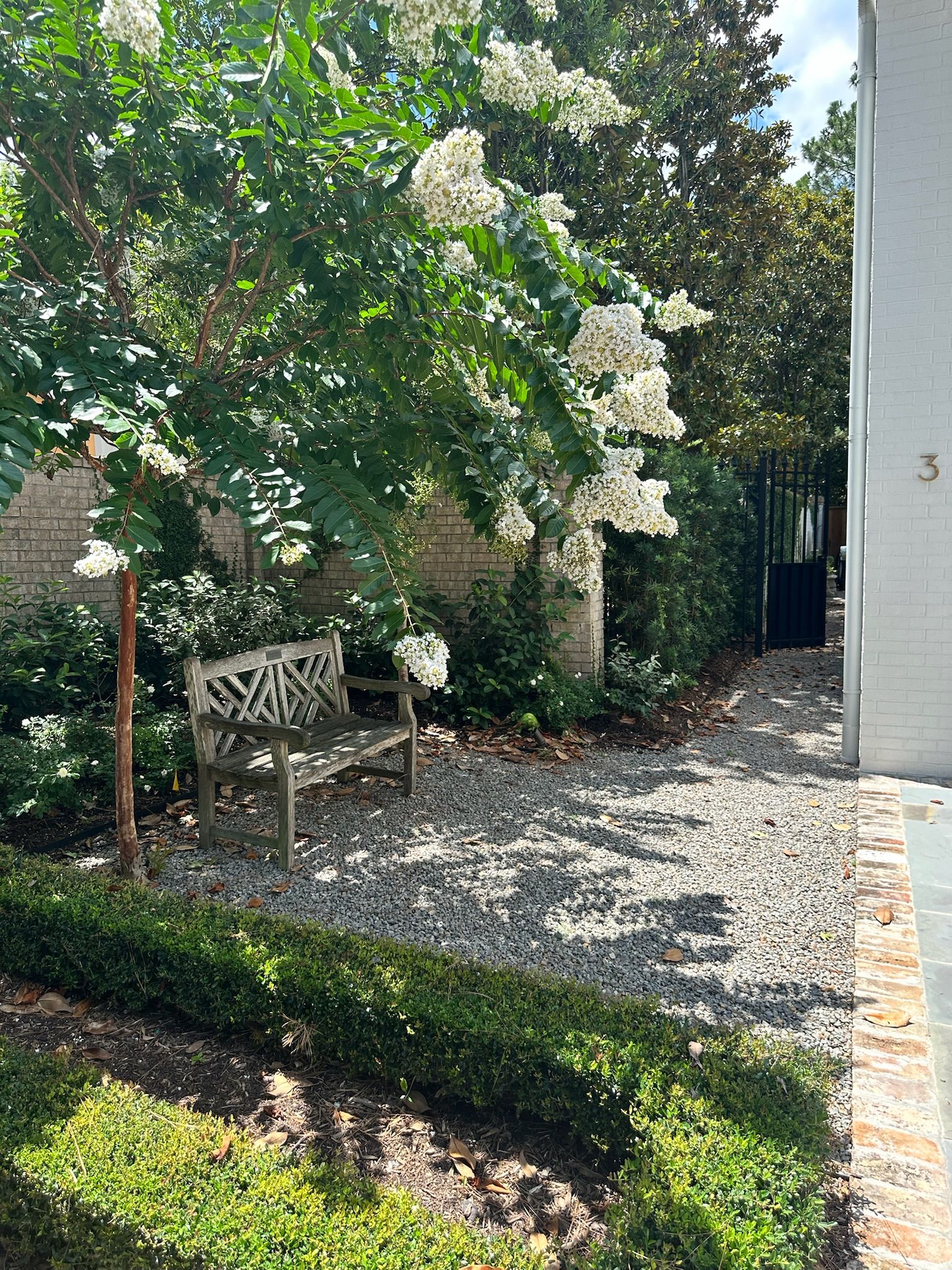 Garden bench under a flowering tree beside a gravel path and house exterior