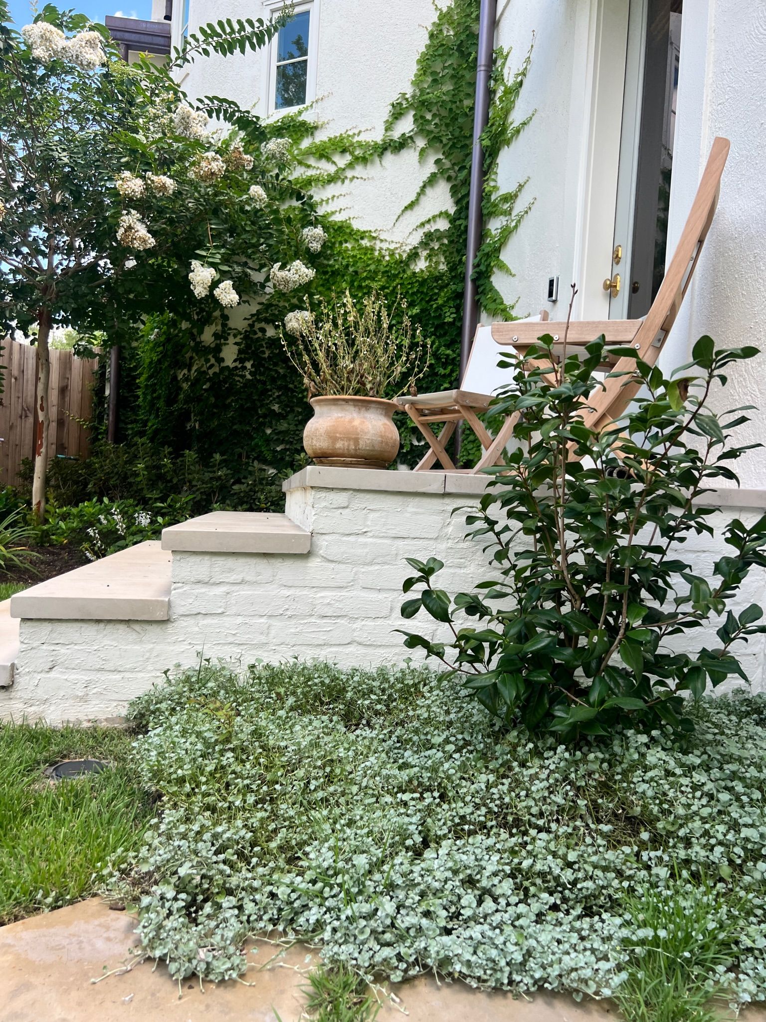 Small garden path with white stone steps, lush green ground cover, and potted plants beside a house.