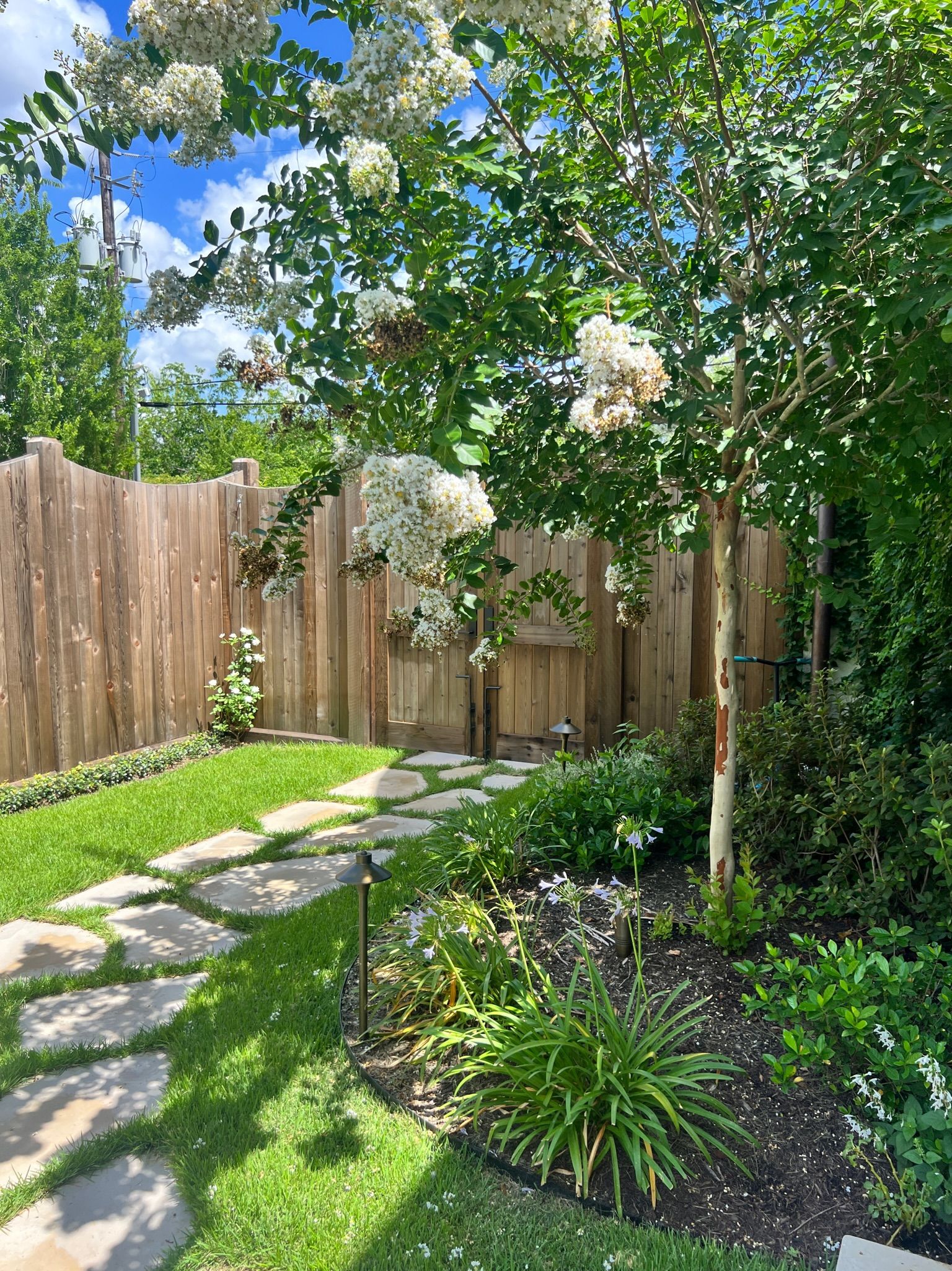 Sunny backyard garden with stone path, wooden fence, lush greenery, and flowering tree