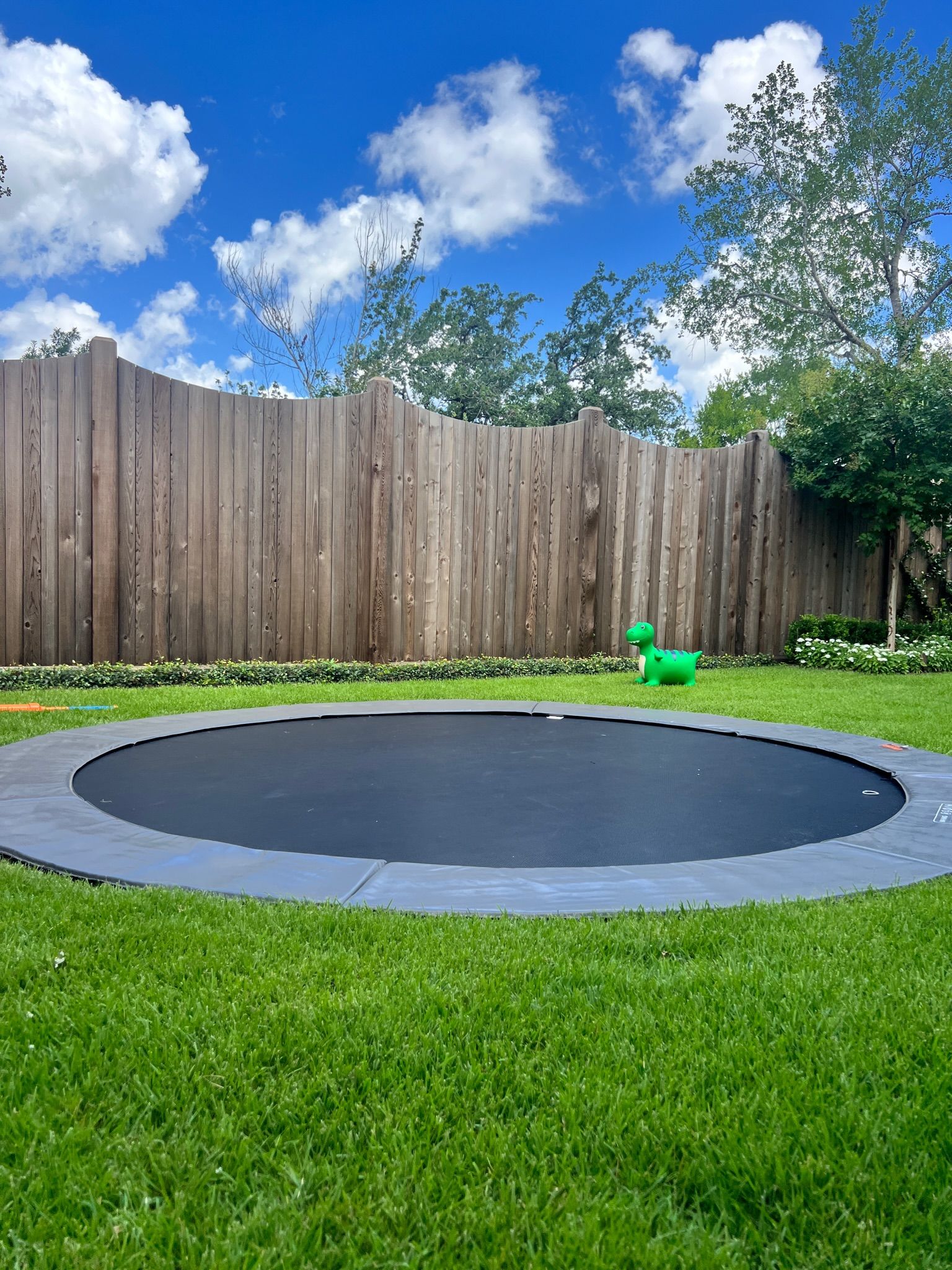 Backyard trampoline embedded in green lawn beside a wooden fence under a blue sky