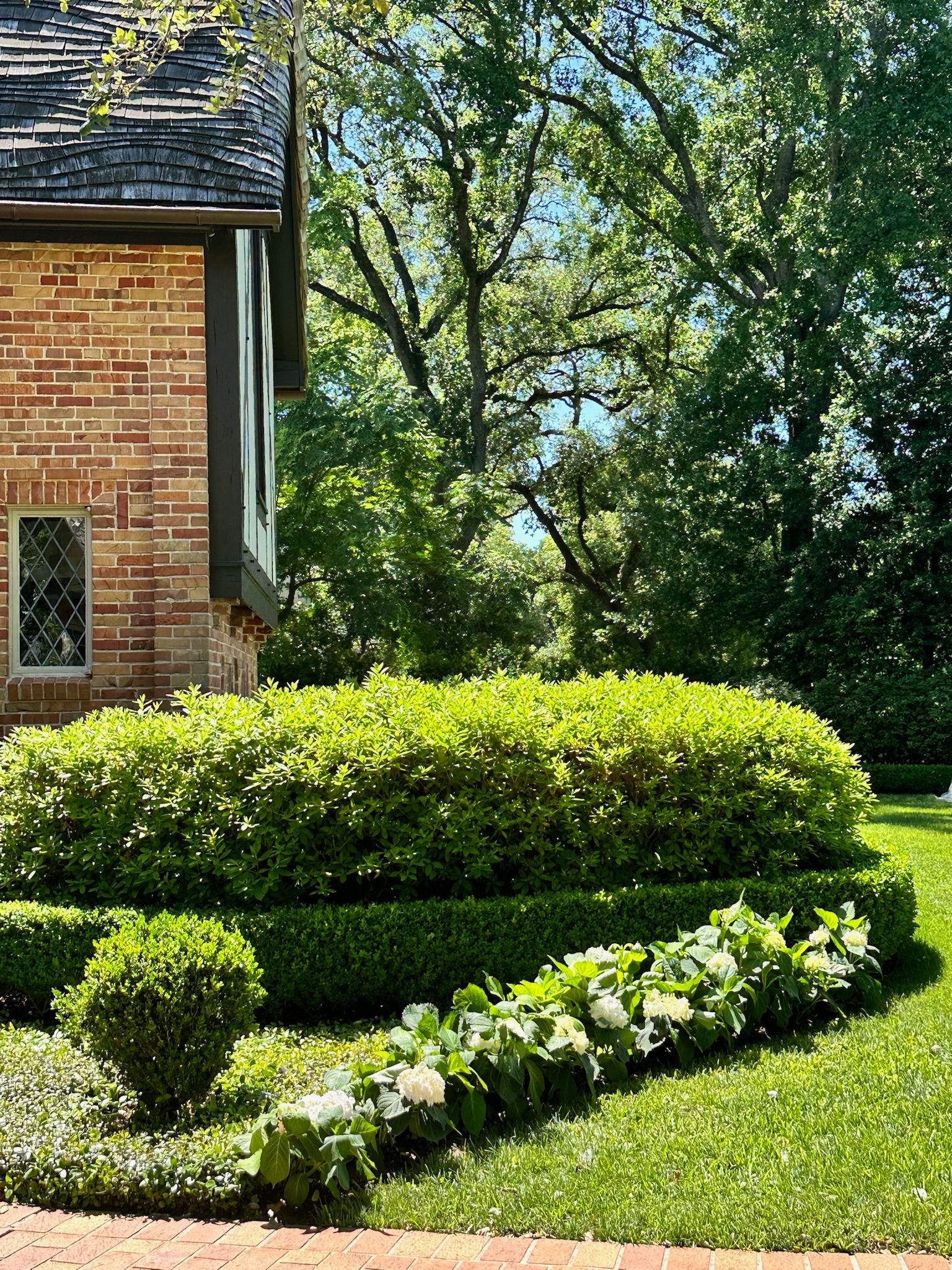 Brick house corner with trimmed green hedges and white flowers in a sunny garden