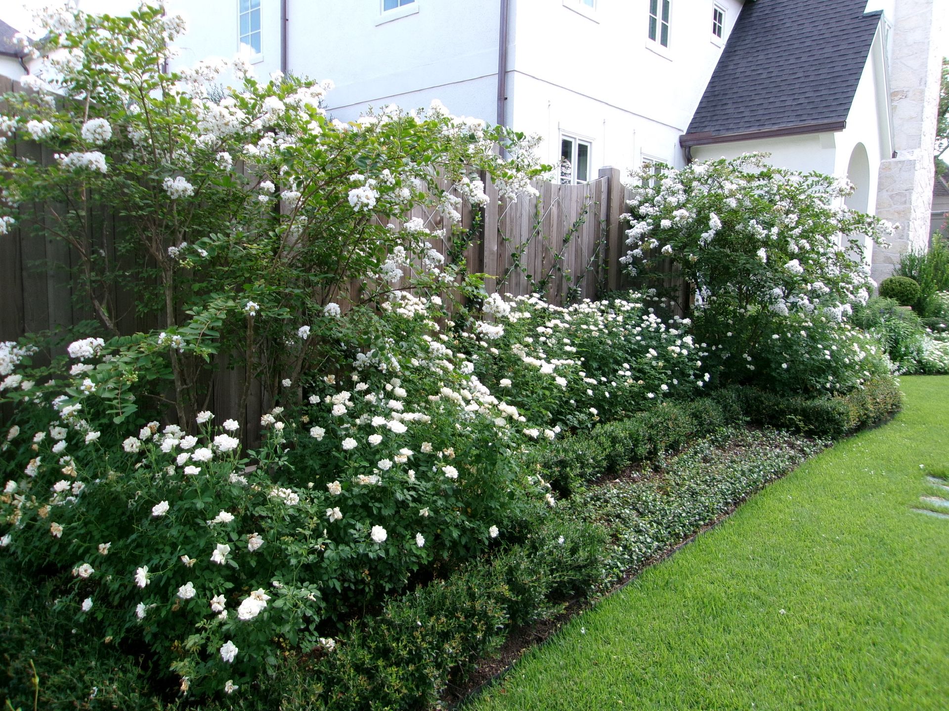Flowering garden bed beside a house with white blooms and green lawn