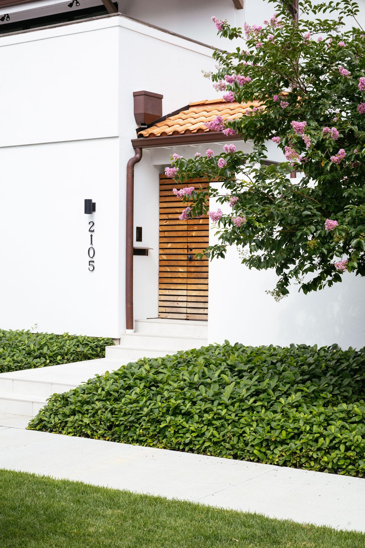 Modern white house entrance with a wooden gate, terracotta roof, and flowering tree beside manicured hedges.