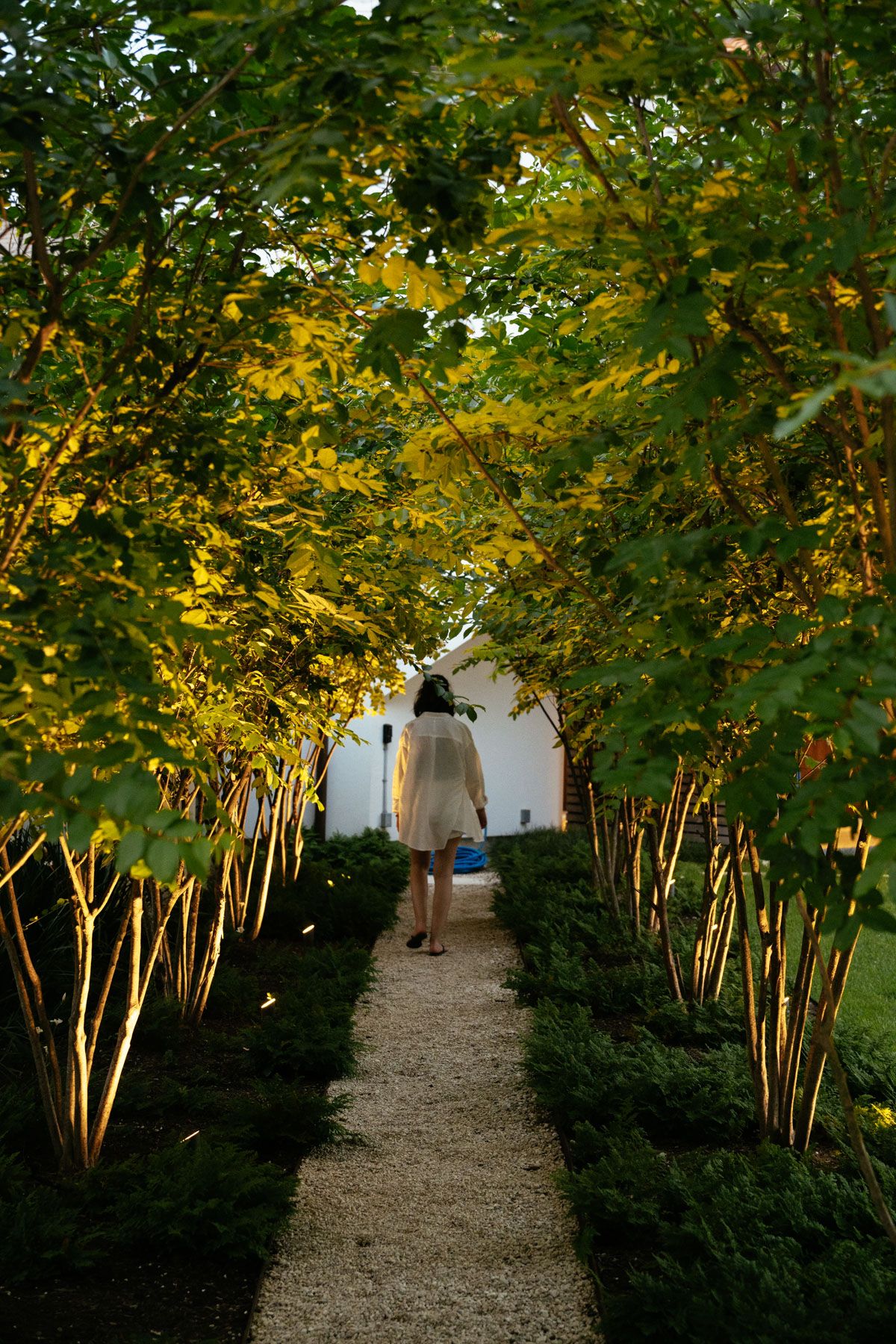 Woman walking down a garden path beneath yellow-green trees, viewed from behind