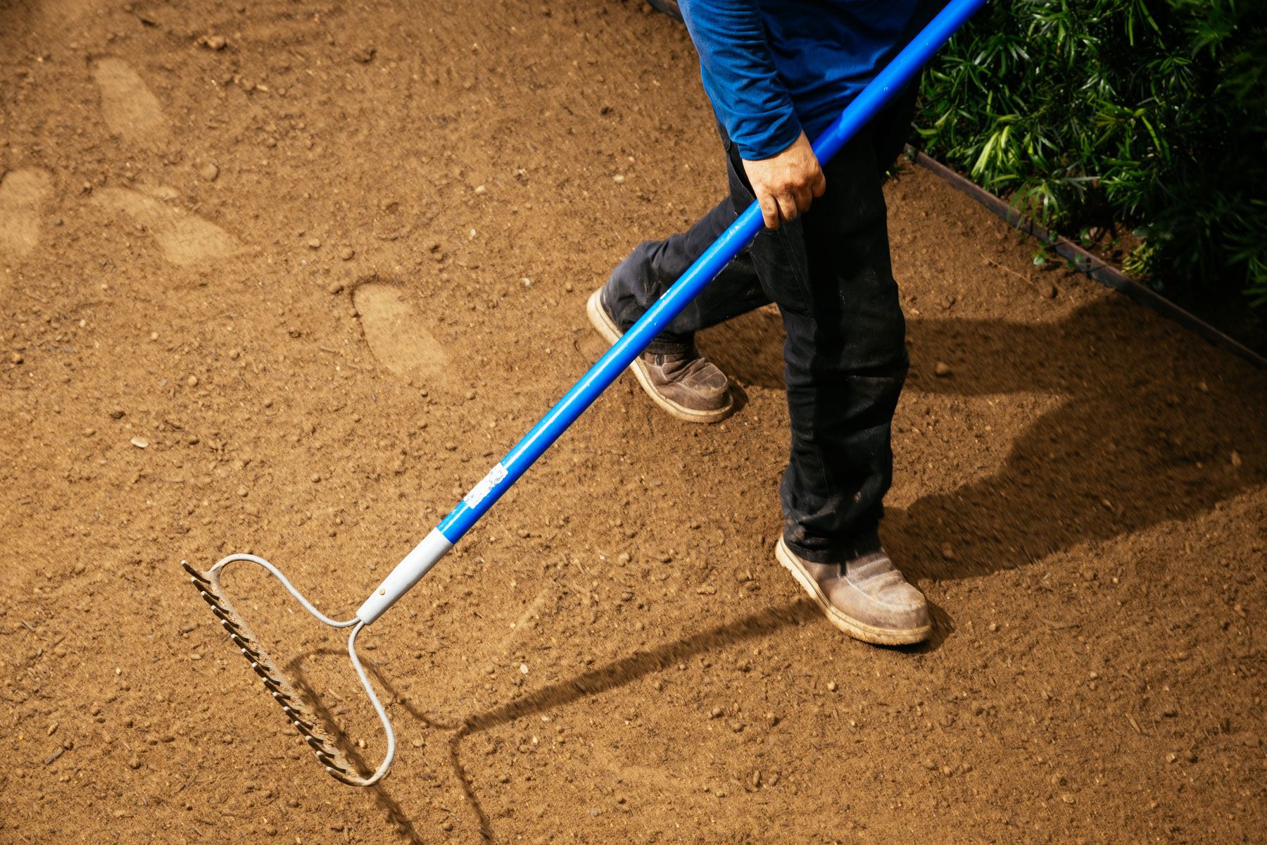Person leveling soil with a rake on a garden bed