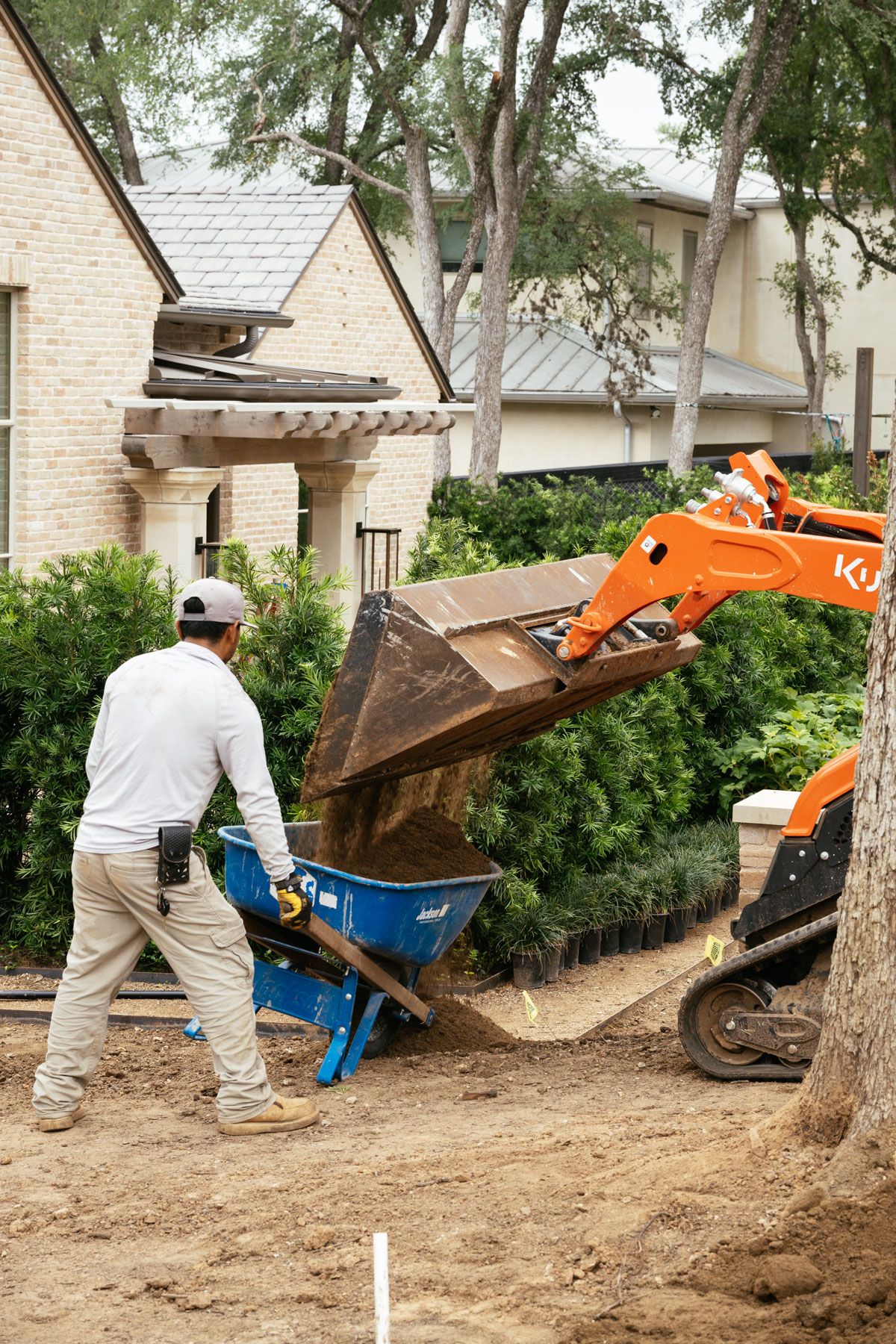 Worker loads dirt into a blue wheelbarrow with an orange skid steer in a residential yard.