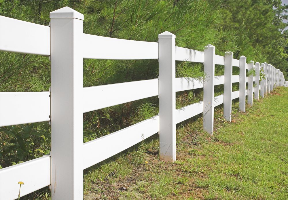 A white fence surrounds a grassy field with trees in the background.