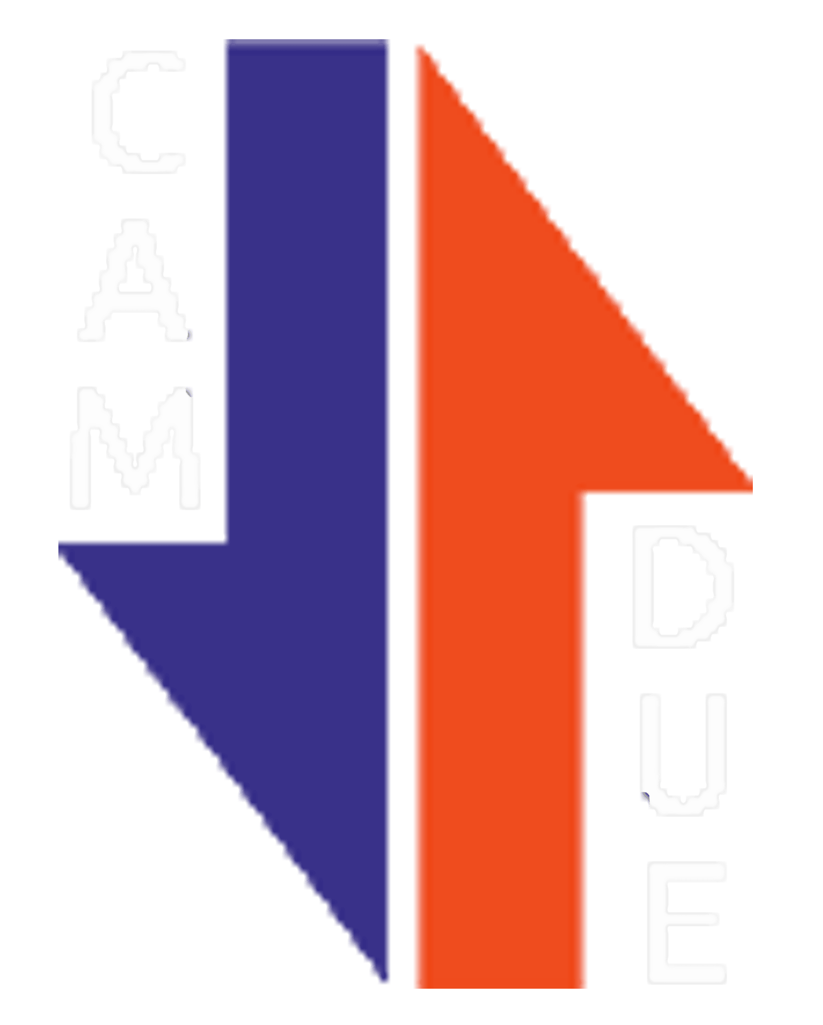 CAM 2 ASCENSORI LOGO