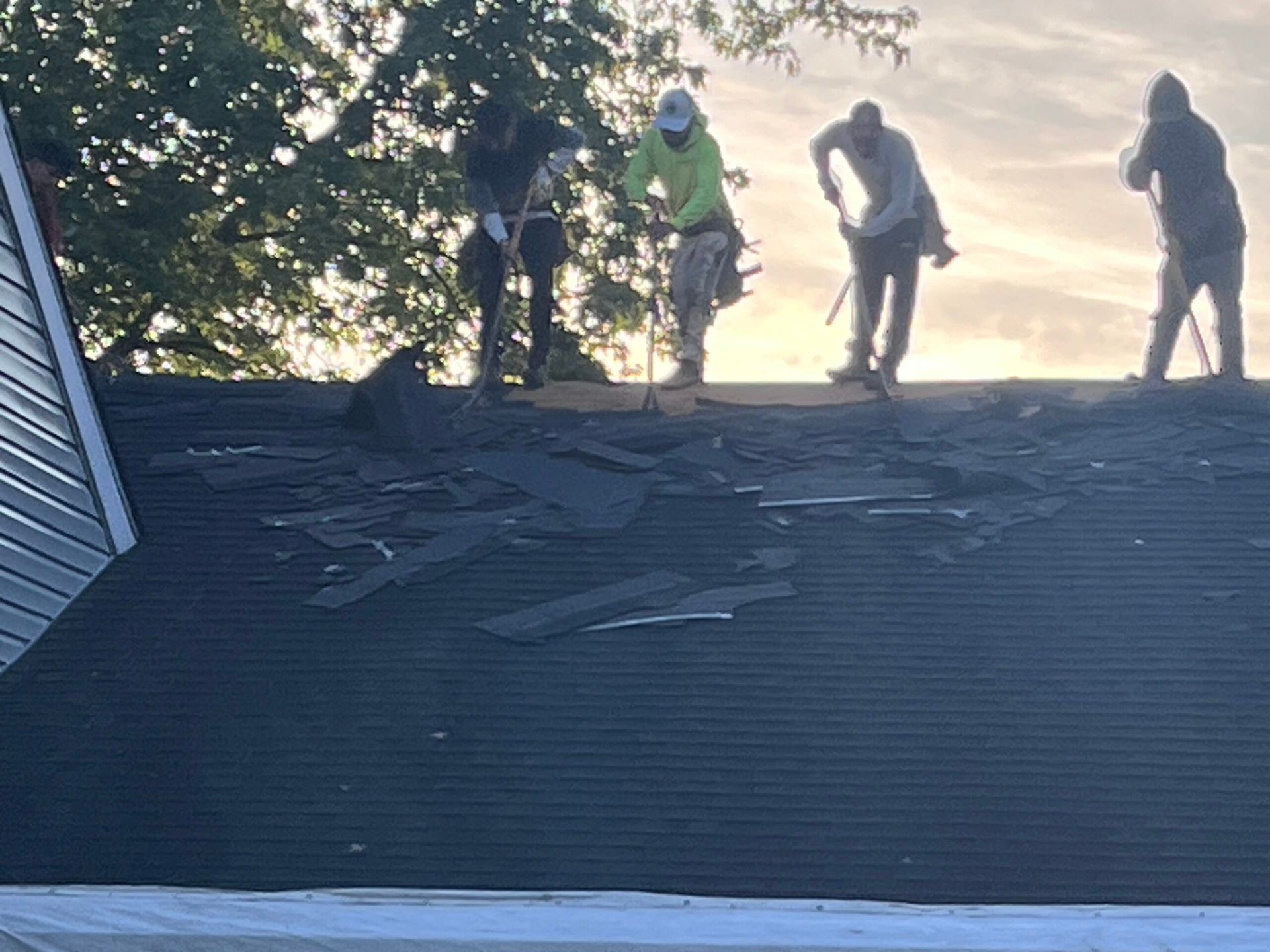Four people on a roof inspecting damaged shingles near a tree at sunset