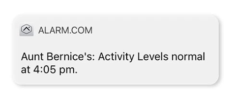 Aunt bernice 's activity levels normal at 4:05 pm.