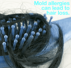 A close up of a hairbrush with the words mold allergies can lead to hair loss