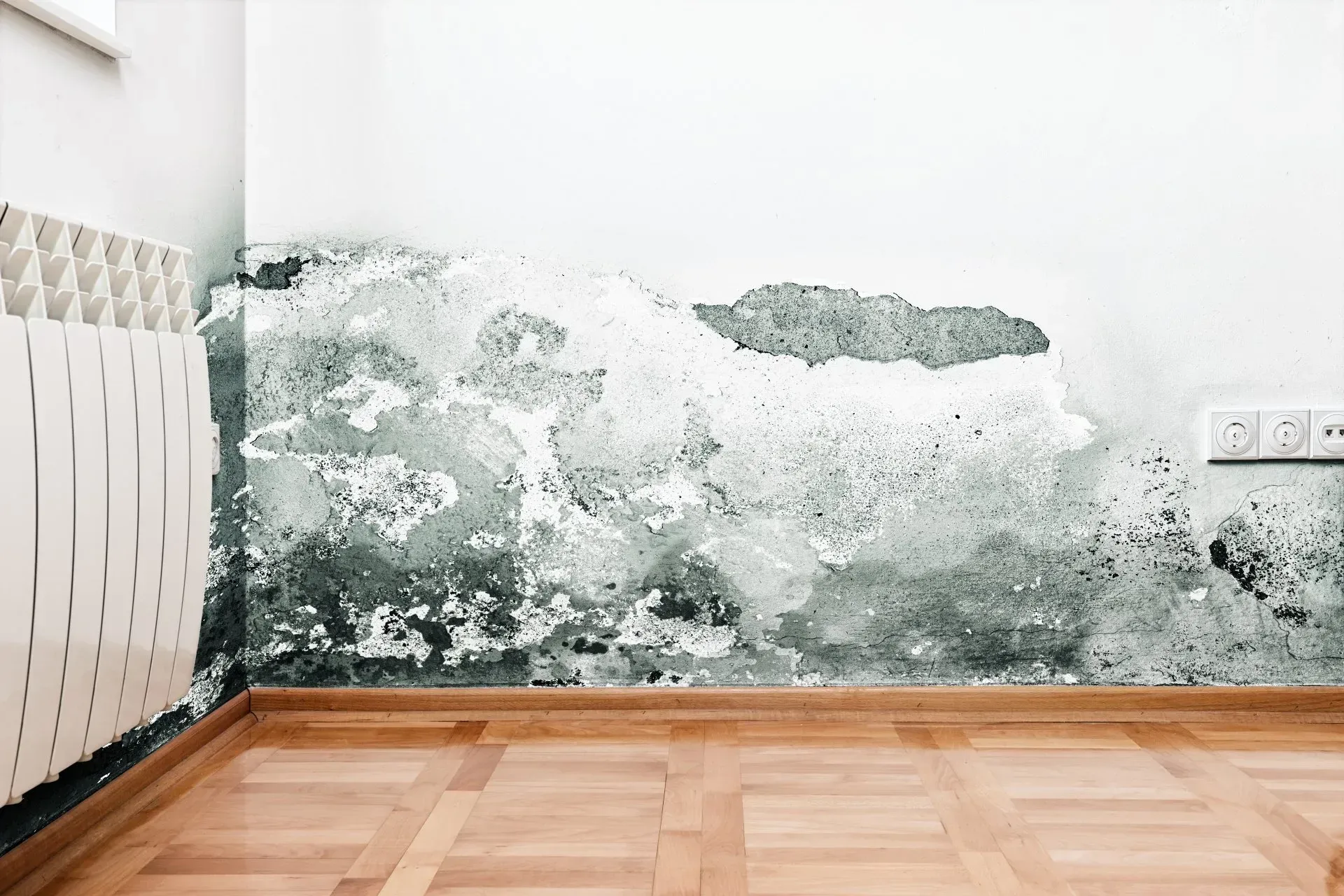 A room with a wooden floor and a white wall with mold on it.