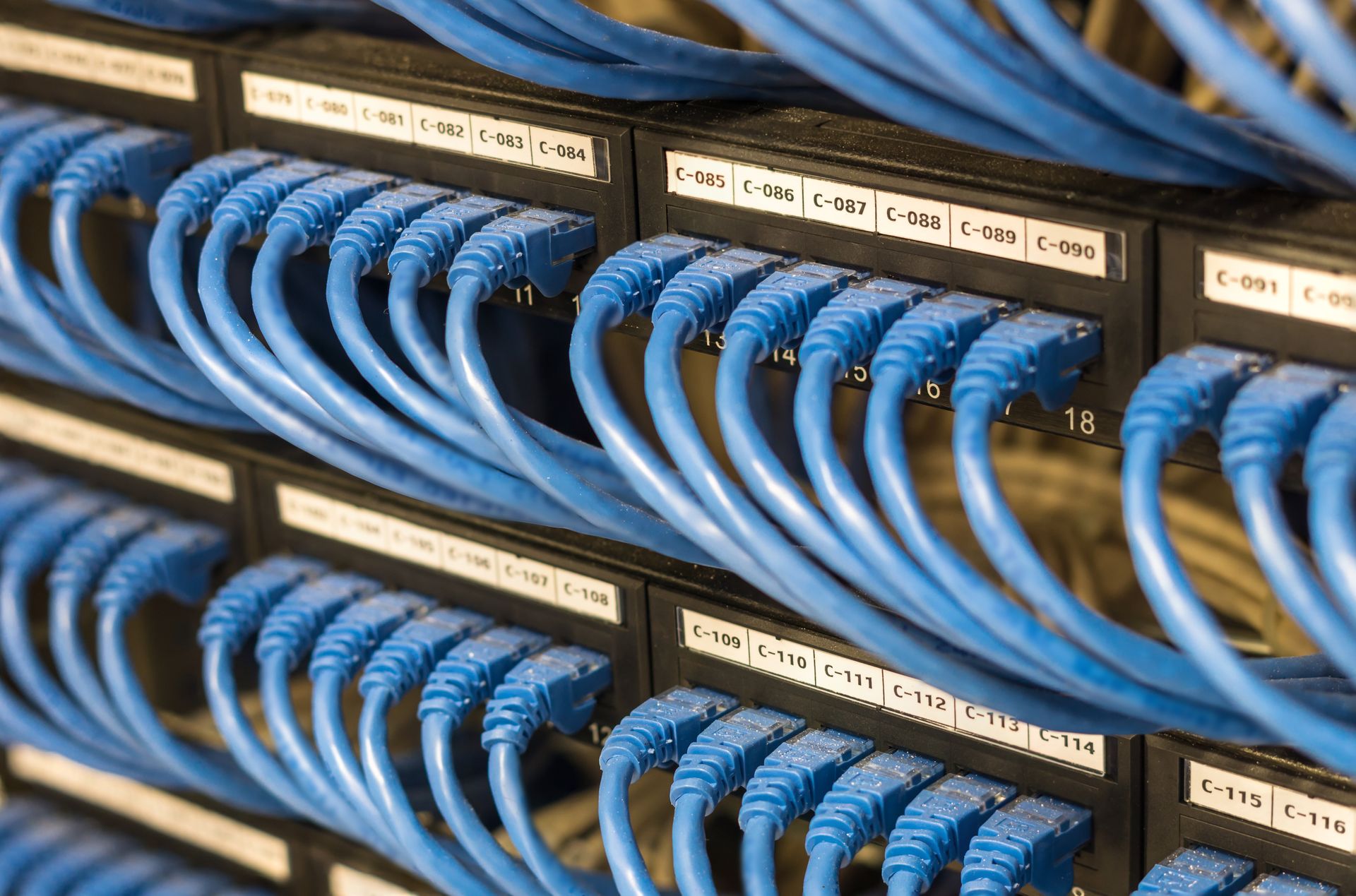 Blue Ethernet cables plugged into a black network switch, in a server room setting.