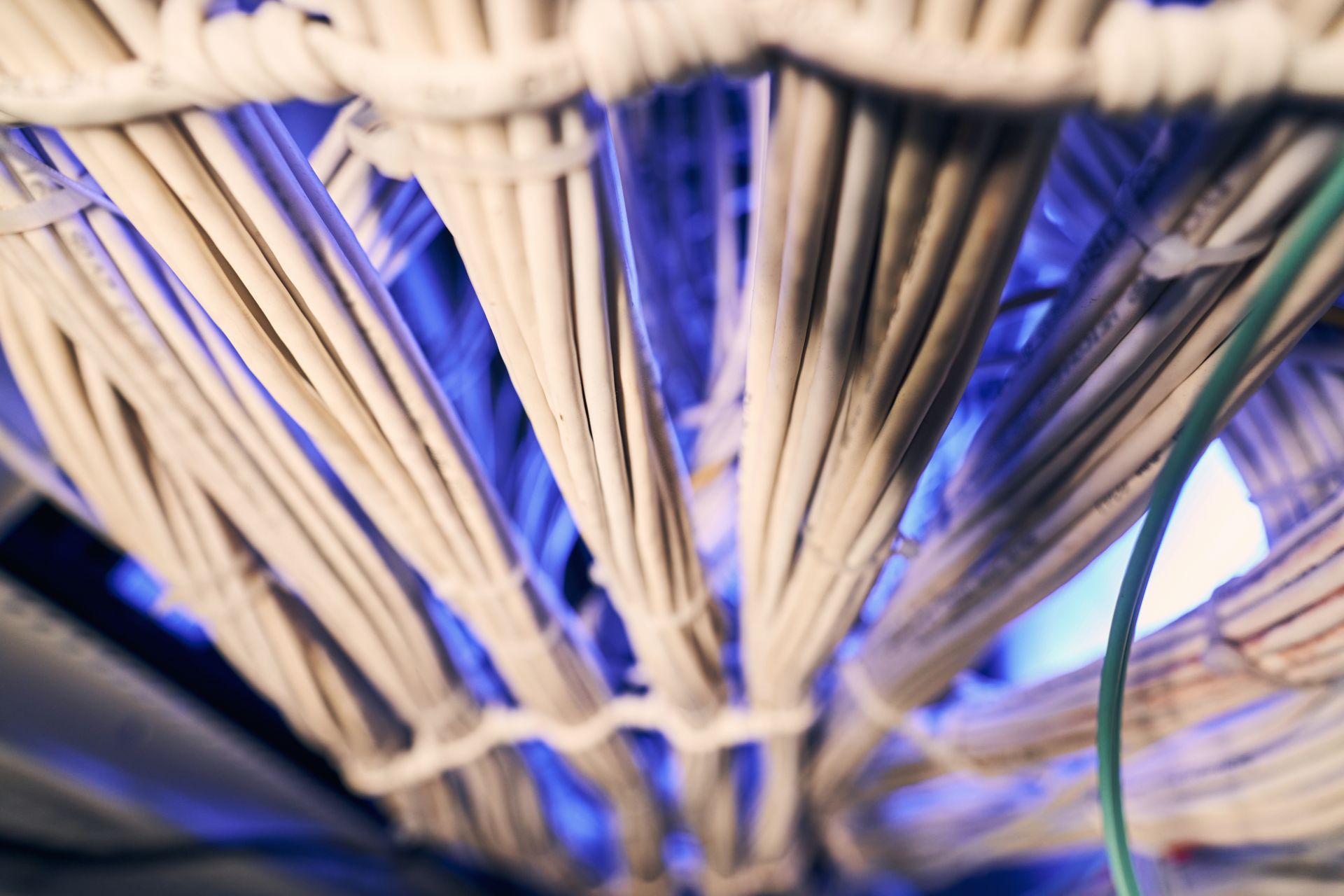 Close-up of bundled electrical cables, light gray with white cable ties, against a blue background.