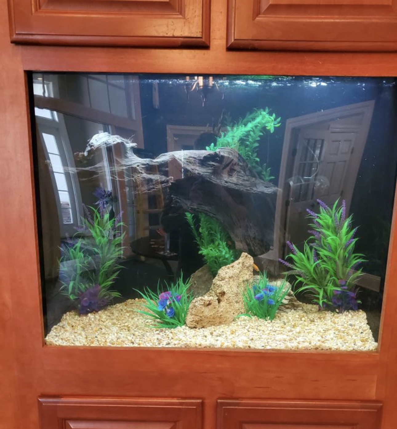 A rectangular aquarium in a wooden cabinet, featuring light gravel, plastic plants, a central rock, and a piece of driftwood.