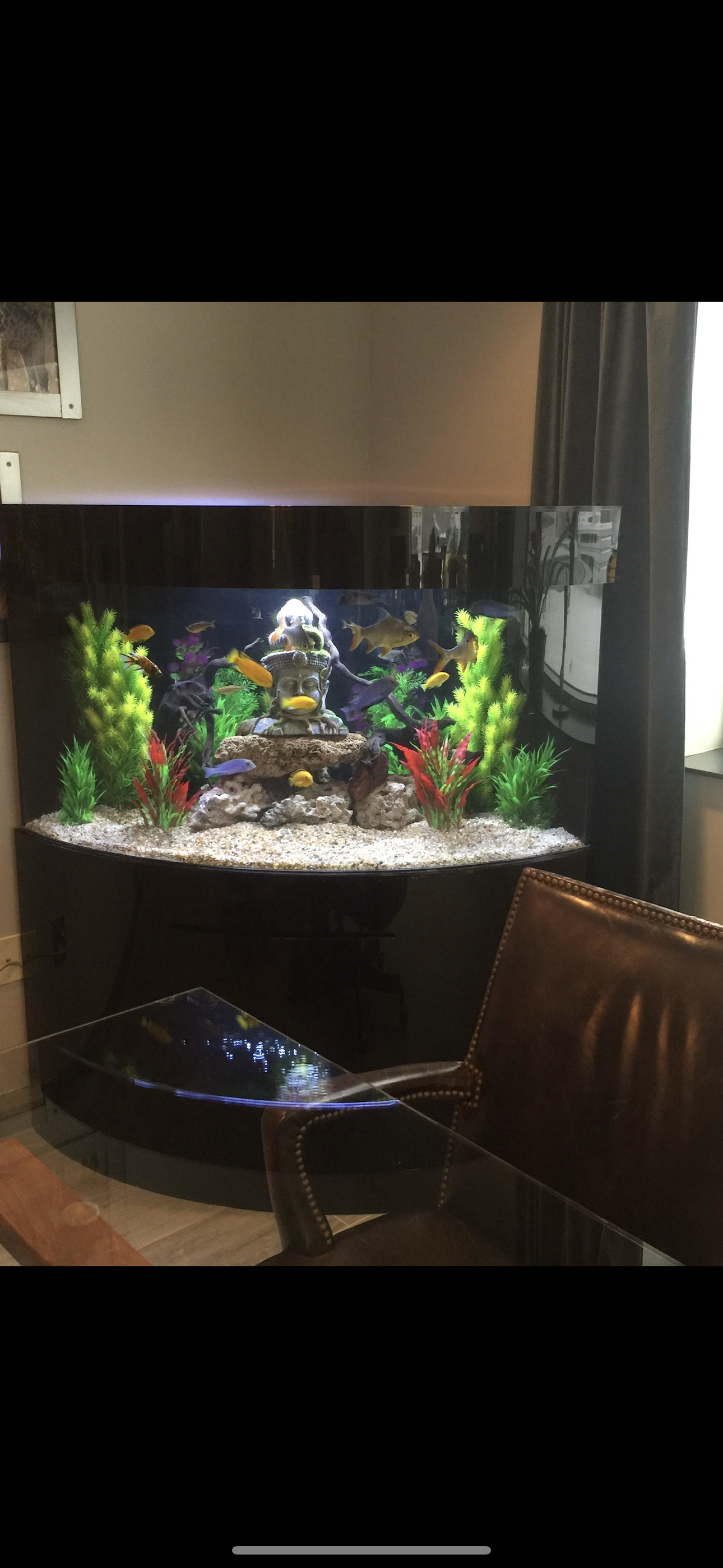 A large, curved aquarium with white gravel, green and red plants, and a central rock decoration in a room.