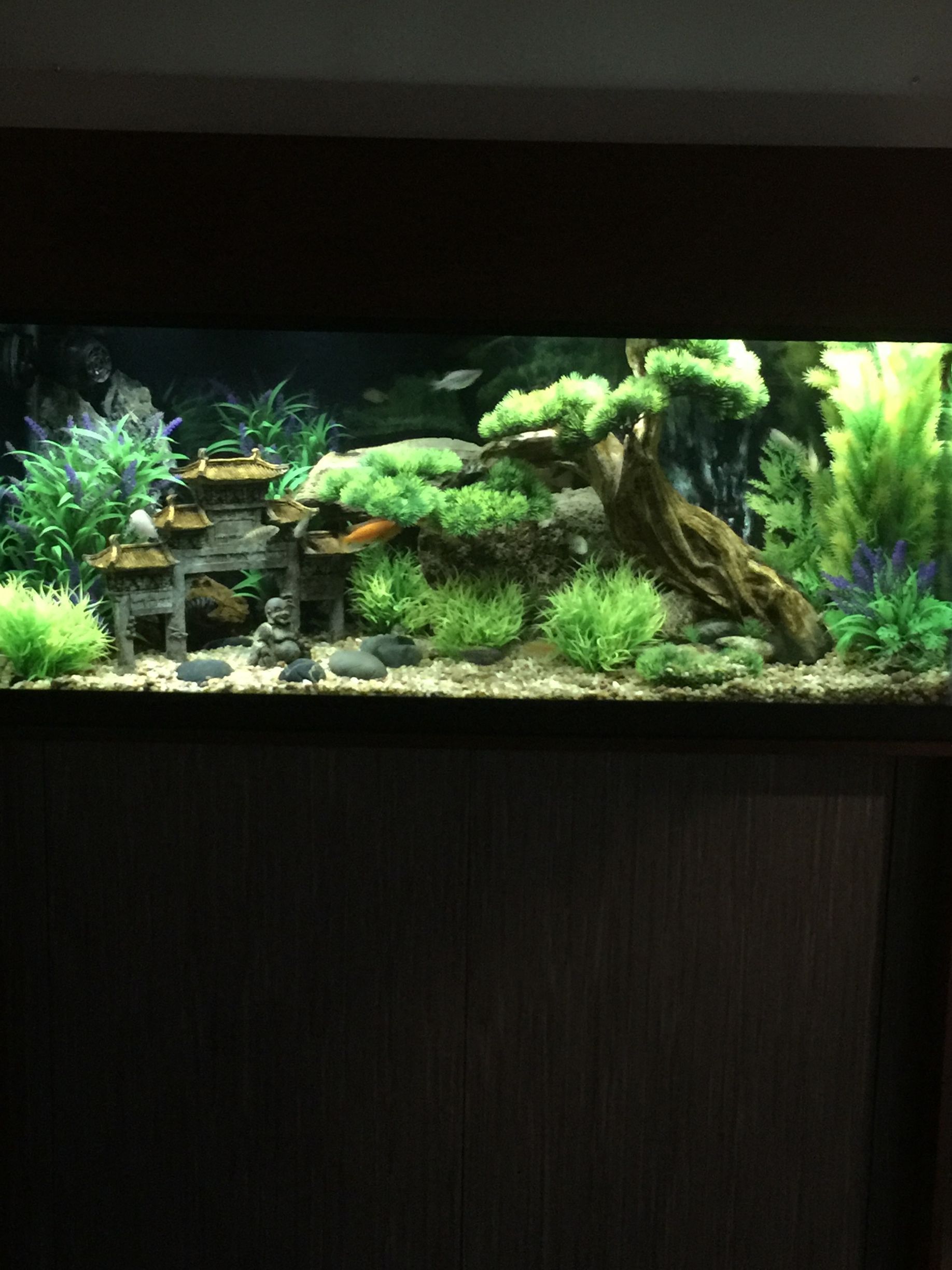 A bright, planted freshwater aquarium with a decorative pagoda, driftwood, and rocks on a gravel substrate.