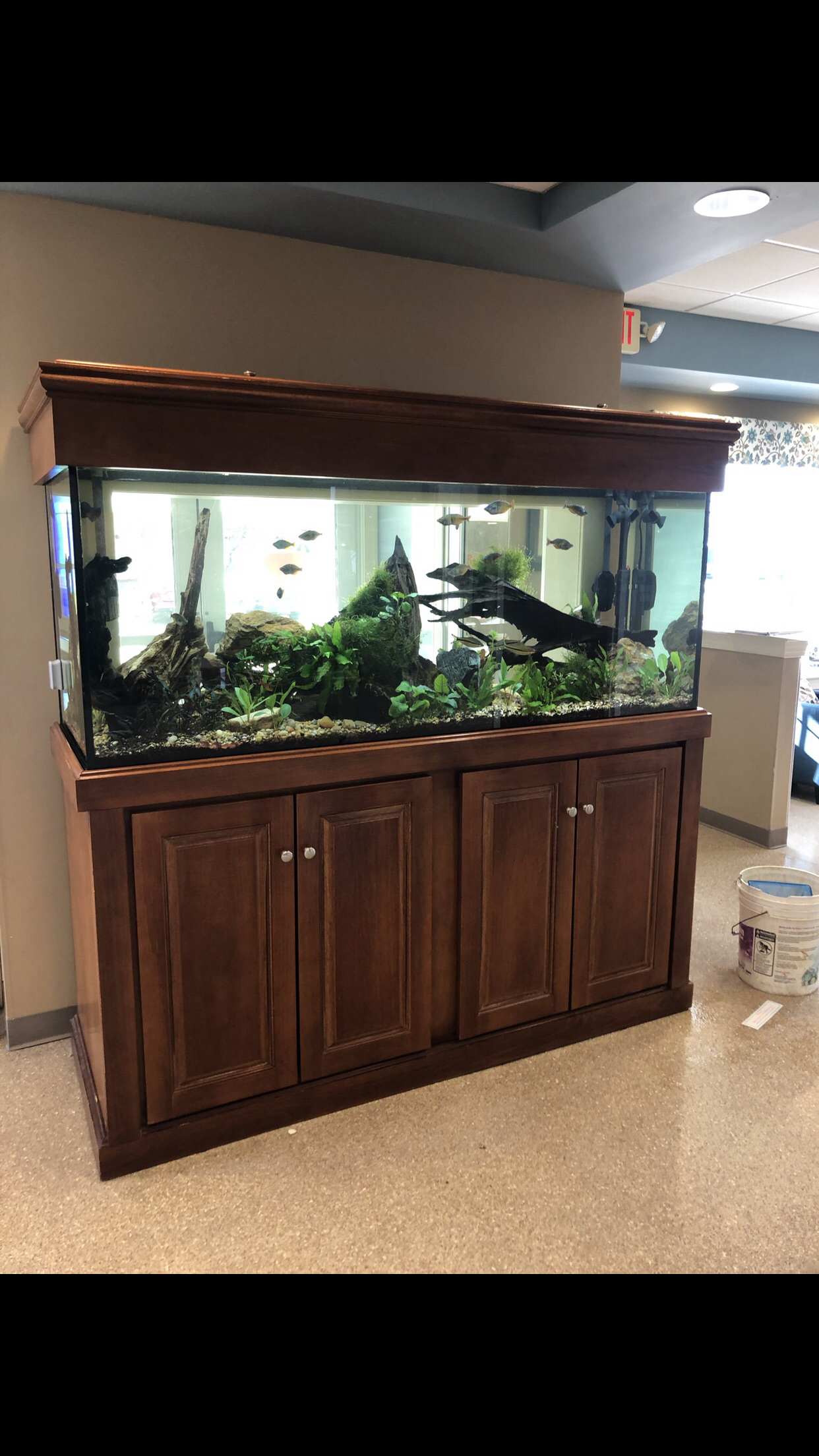 A large, rectangular fish tank with wooden cabinetry stands on a speckled tile floor in a well-lit room.
