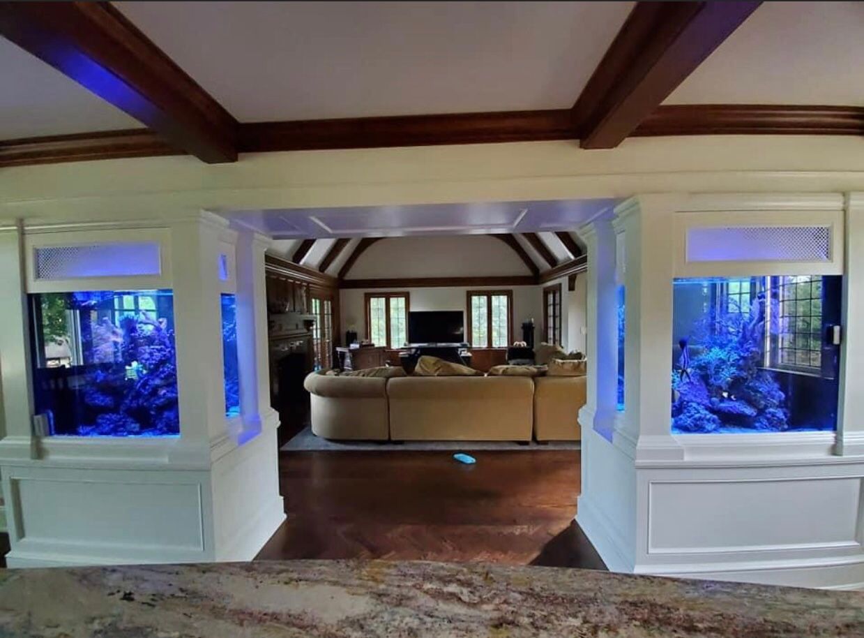 Two large, illuminated saltwater aquariums flank a wide doorway looking into a living room with tan furniture.