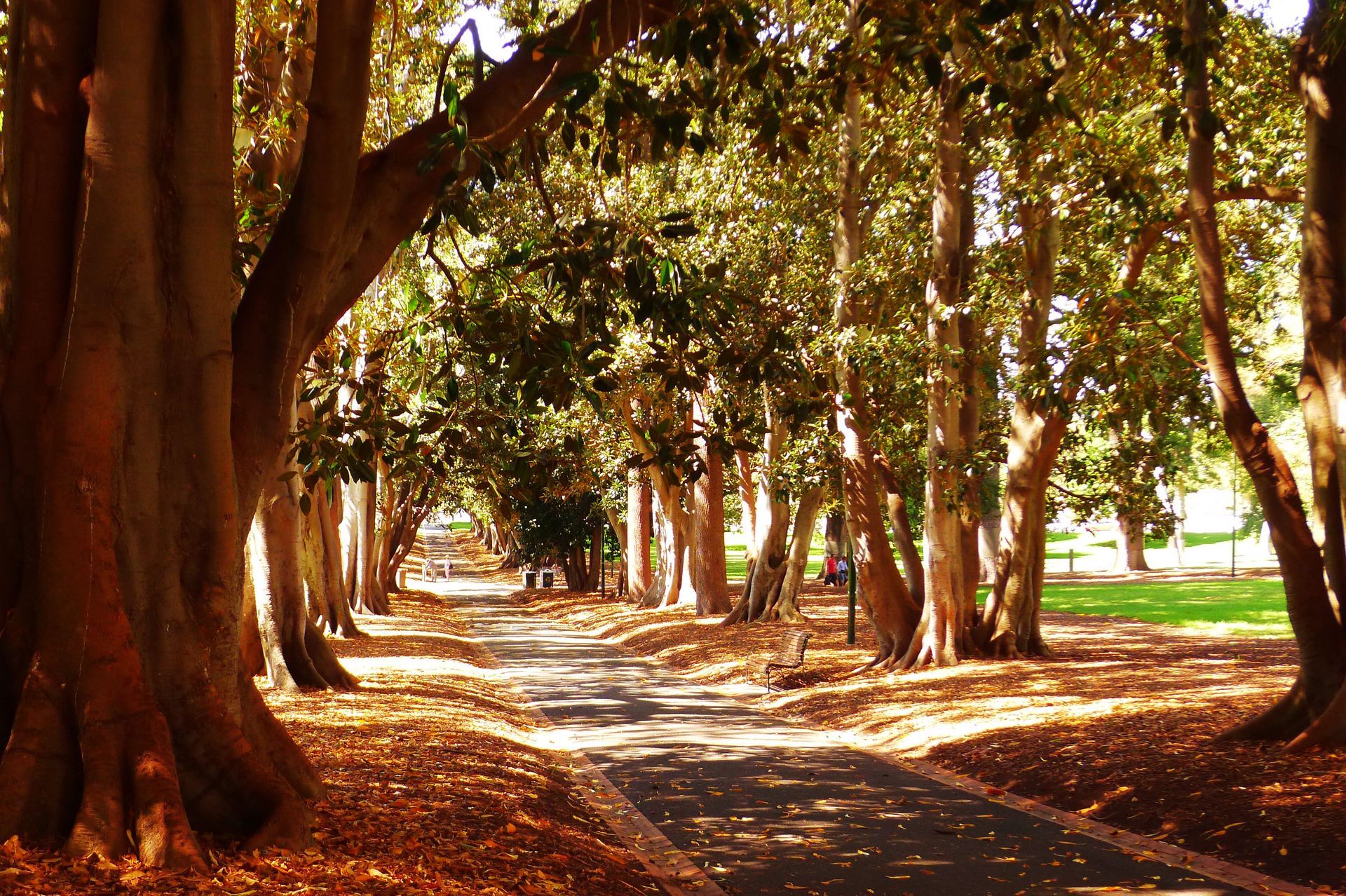 Fitzroy gardens in spring melbourne
