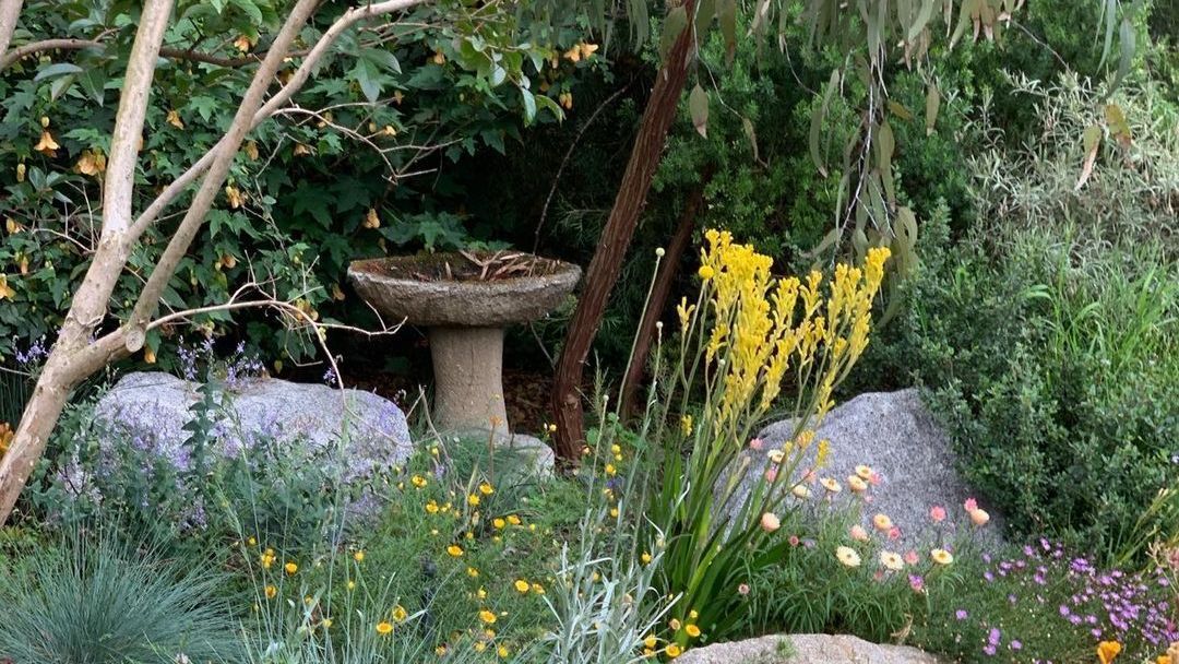 Native Australian Oriental Flower Garden