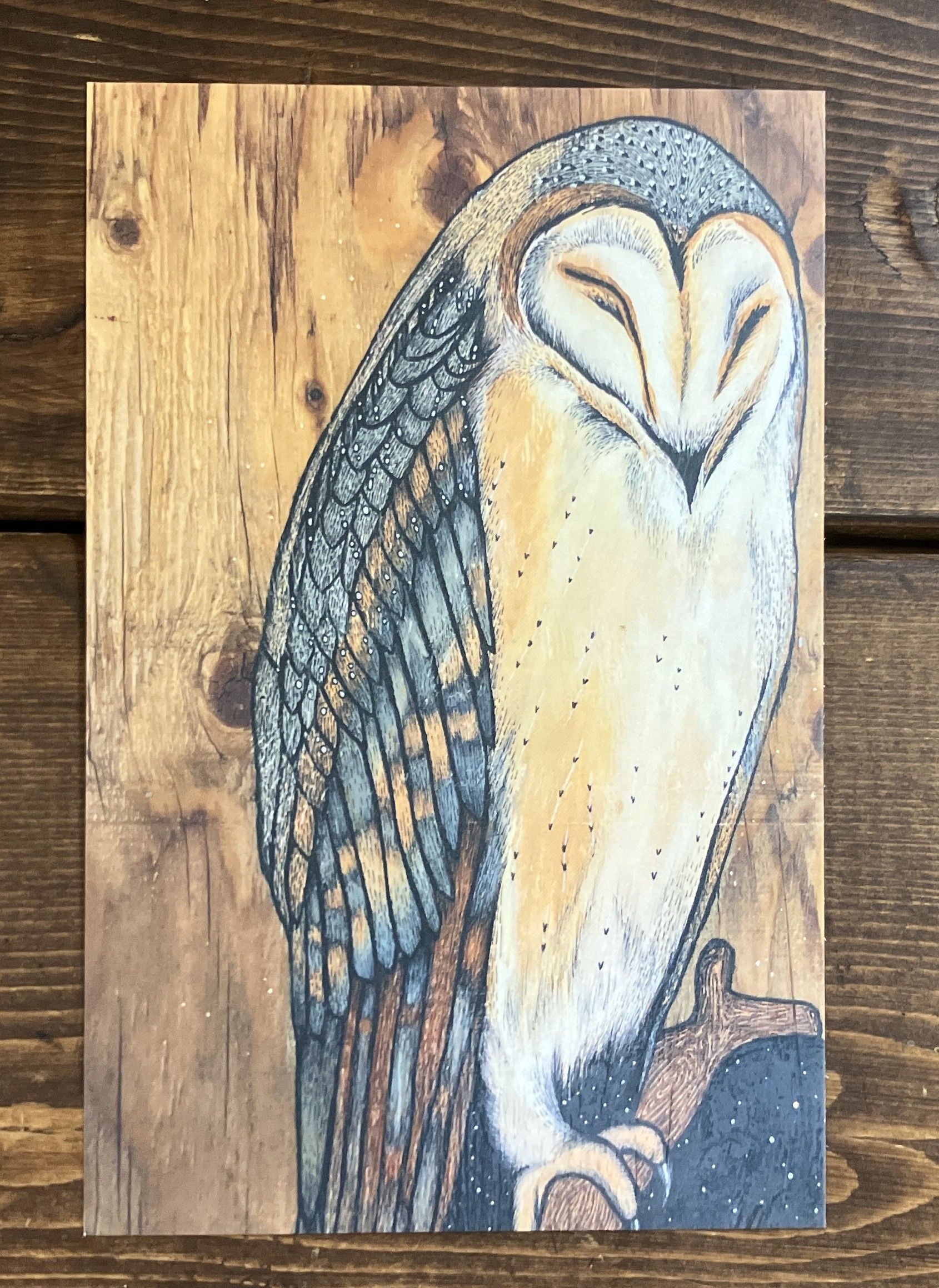 Acrylic painting of a barn owl with a wood grain back ground.