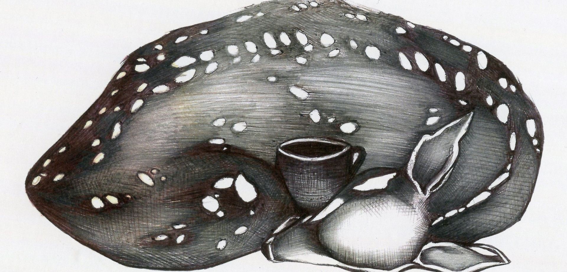 Image of a sleeping deer, curled up with a tea cup.