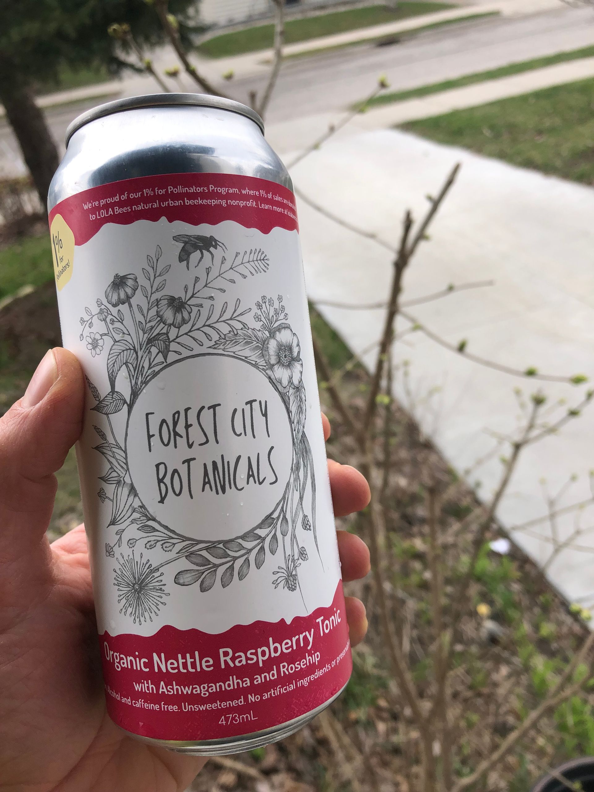 Image on a can of delicious fizzy drink of a reef made of wild flowers and a bee flying overhead.