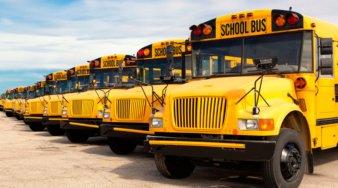 A row of yellow school buses are parked in a parking lot.