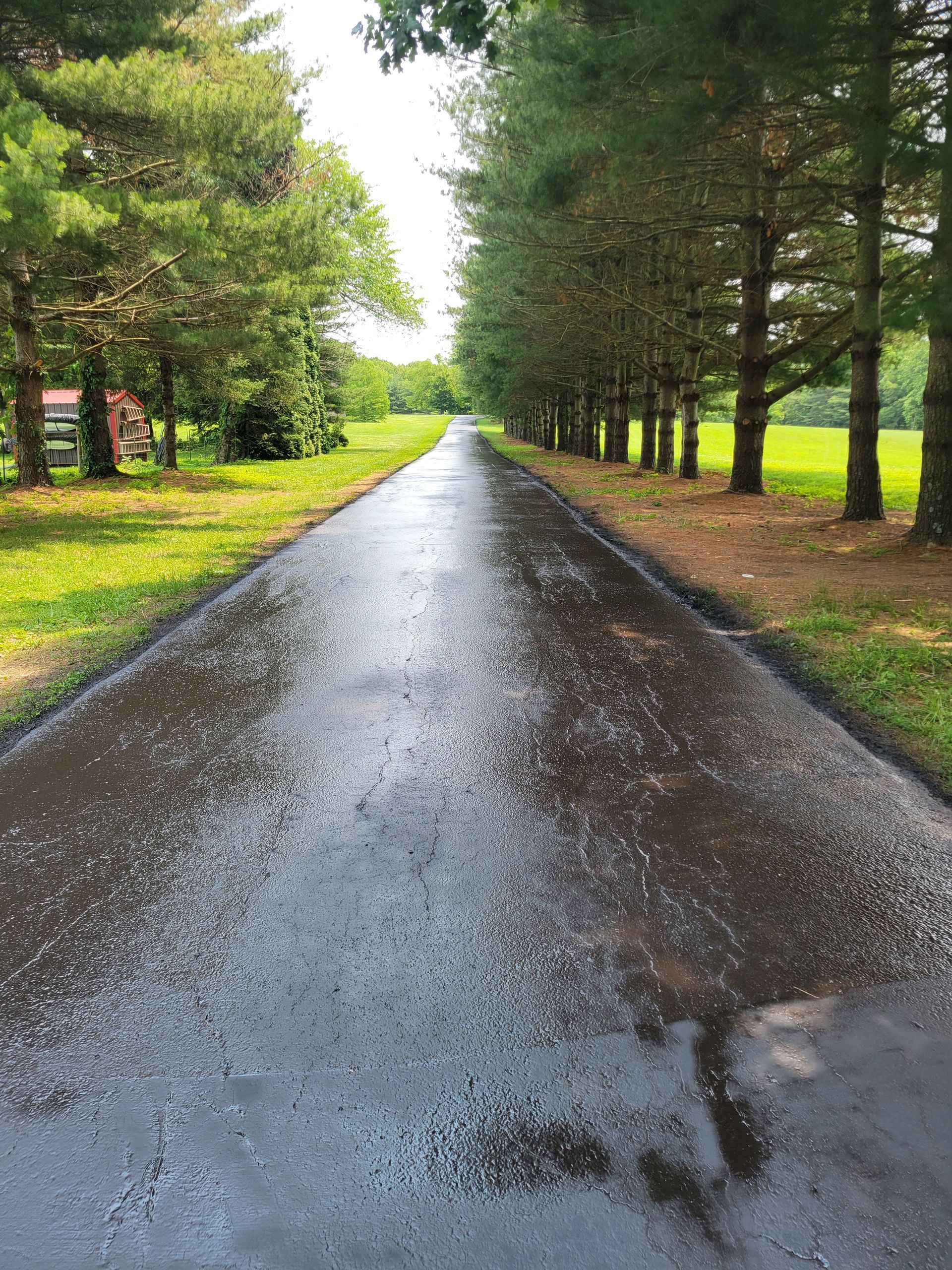 Wet asphalt road lined with trees, leading towards a distant field on a sunny day.