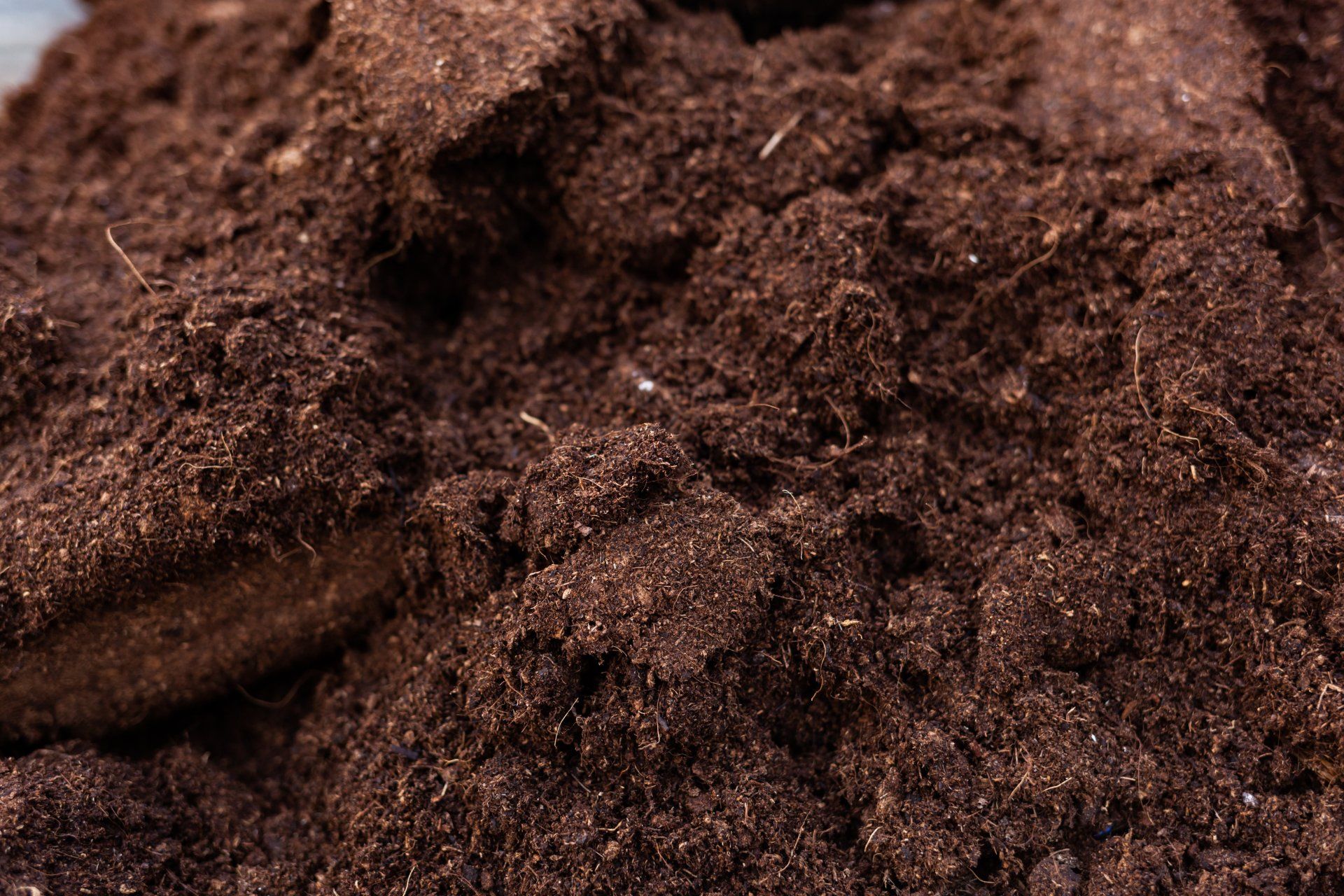 Healthy Dirt