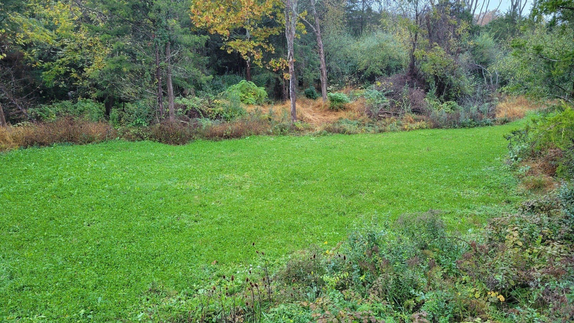 Benefit Outdoors