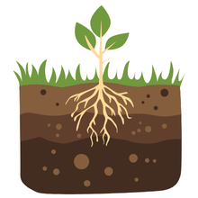 Graphic with healthy plant growing in dirt.