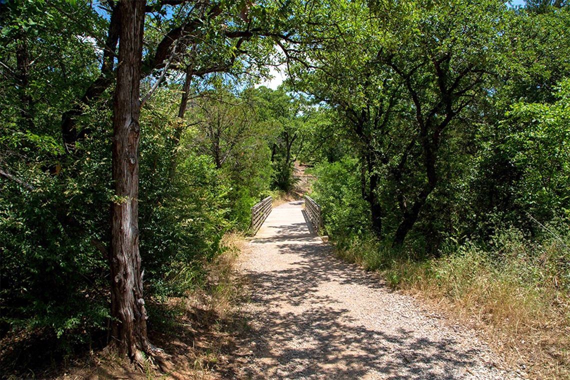 Gravel path through a lush green forest, shaded by trees, leading uphill on a sunny day.