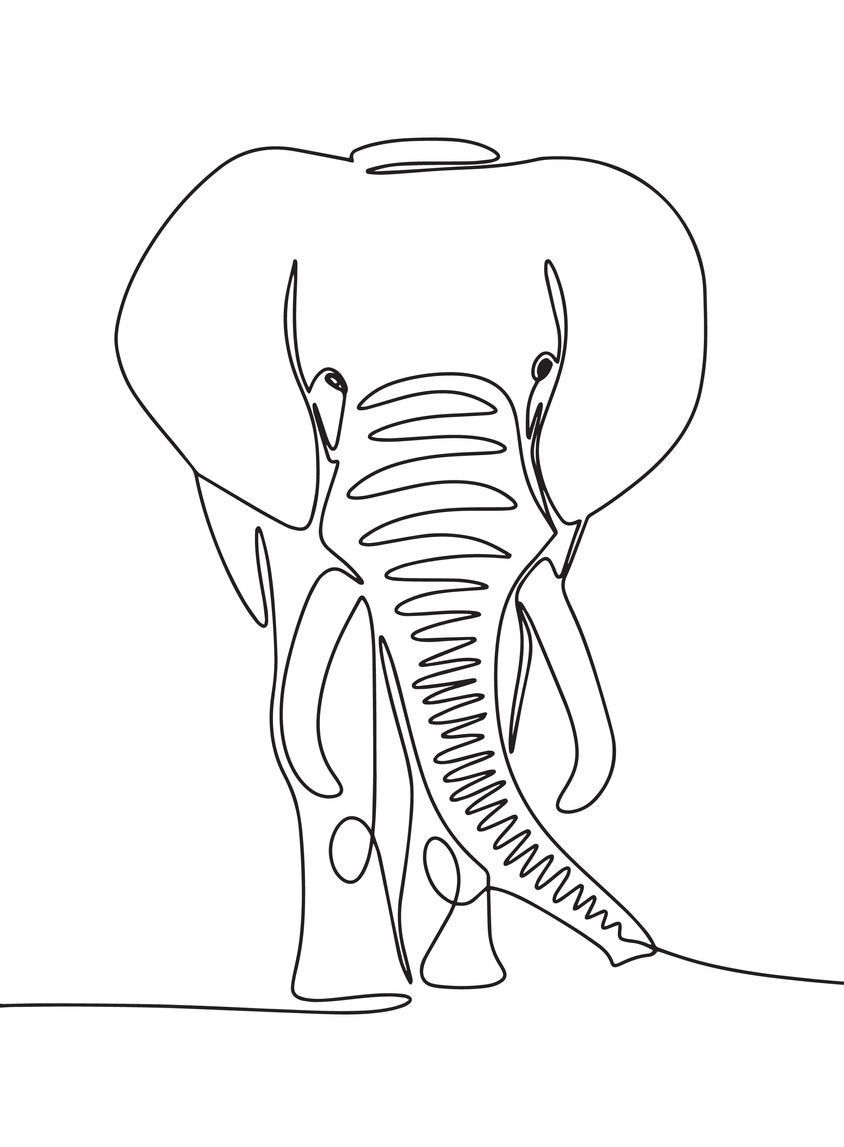 Line drawing of an elephant facing forward with its trunk hanging down and curling to the right.