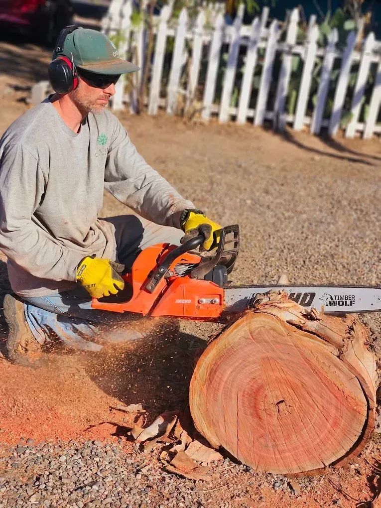 Man cutting wood with a chainsaw, wearing safety gear outdoors.