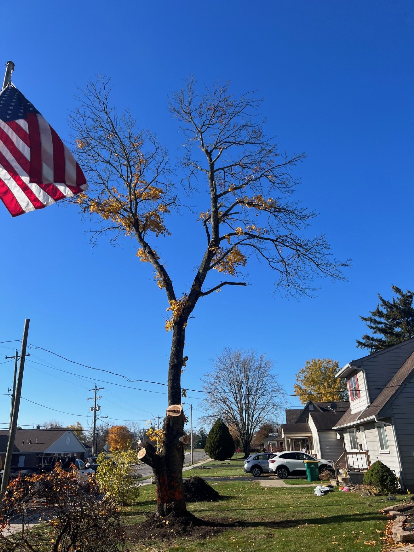 Gallery Hilliard, OH Central Ohio Tree Trimming Service
