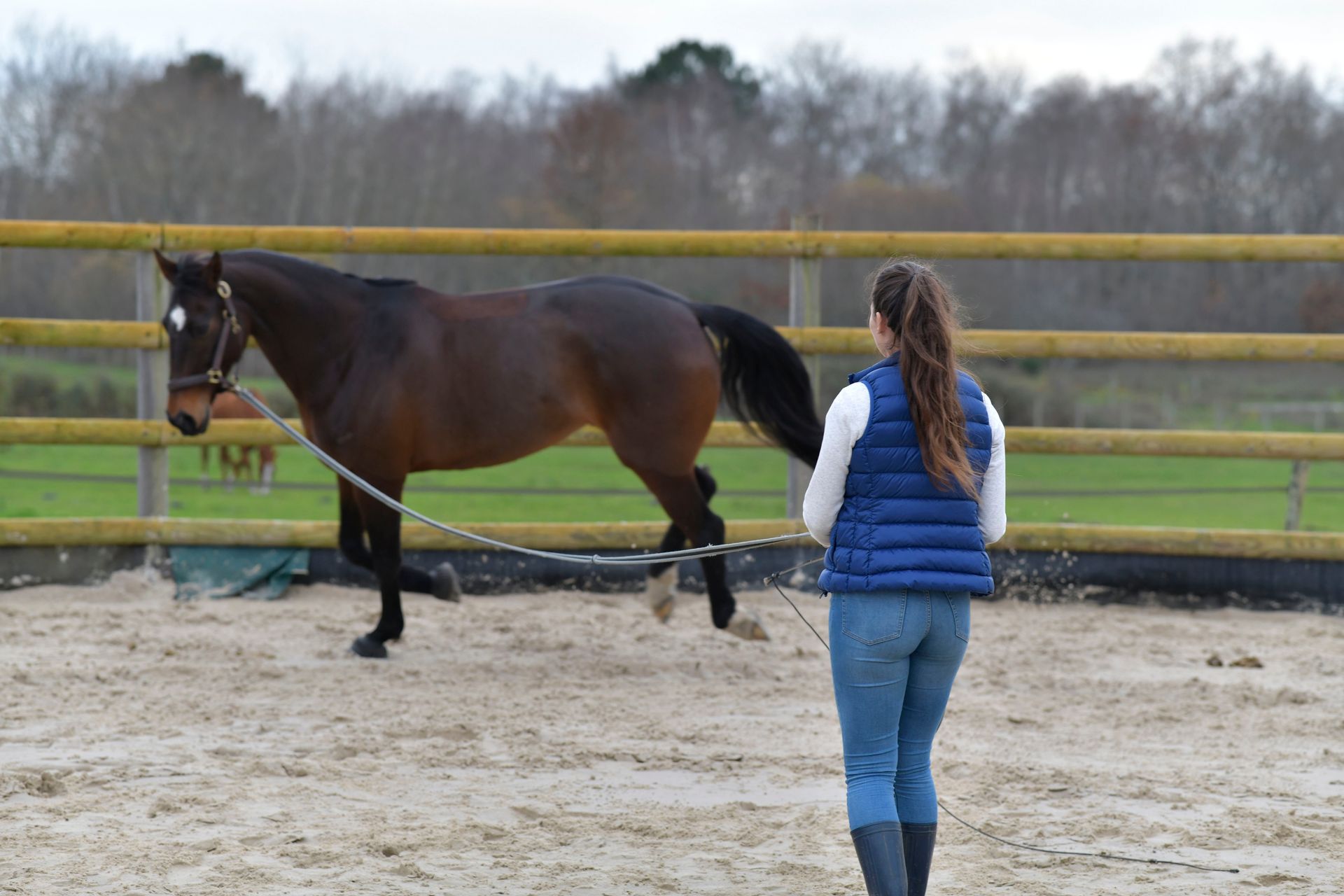 A woman is walking a brown horse in a fenced in area.