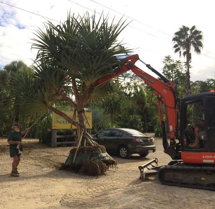 A Row of Yellow Excavators Are Parked in a Gravel Lot — Eddy’s Excavations & Bobcat Hire In Wurdong Heights, QLD