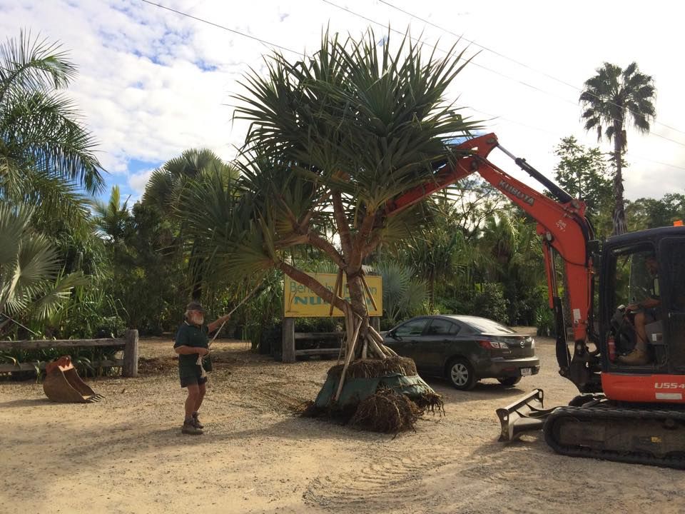 A Row of Yellow Construction Vehicles Are Parked in a Parking Lot — Eddy’s Excavations & Bobcat Hire In Boyne Valley, QLD