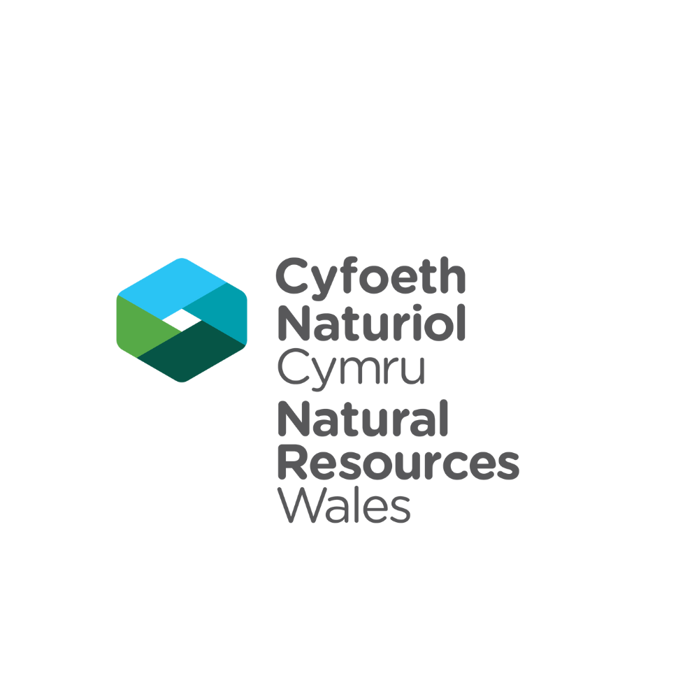 Logo of Natural Resources Wales: geometric shape in blue and green next to the organization's name in Welsh and English.